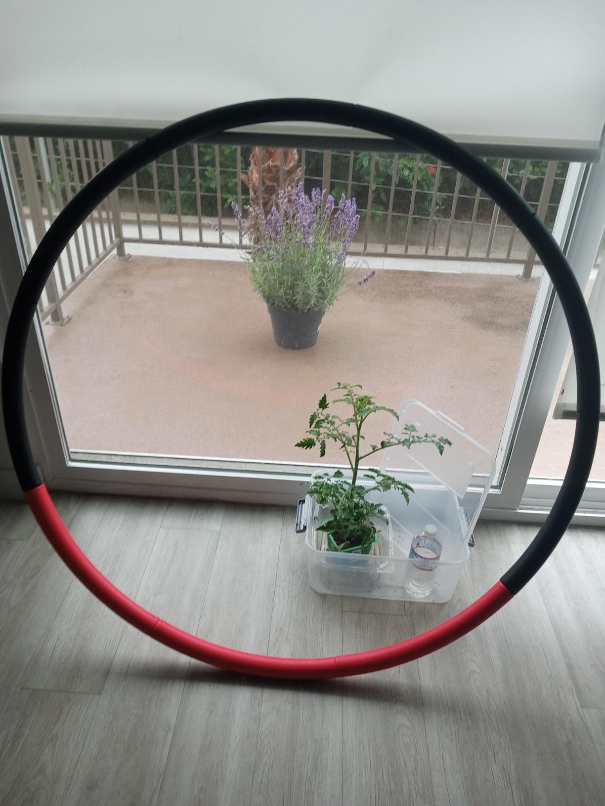 Weighted Hula Hoop Plus Size | 3.2lb Weight, 43in Diameter | Extra Large Hula Hoop for Adults Weight Loss customer photo 1