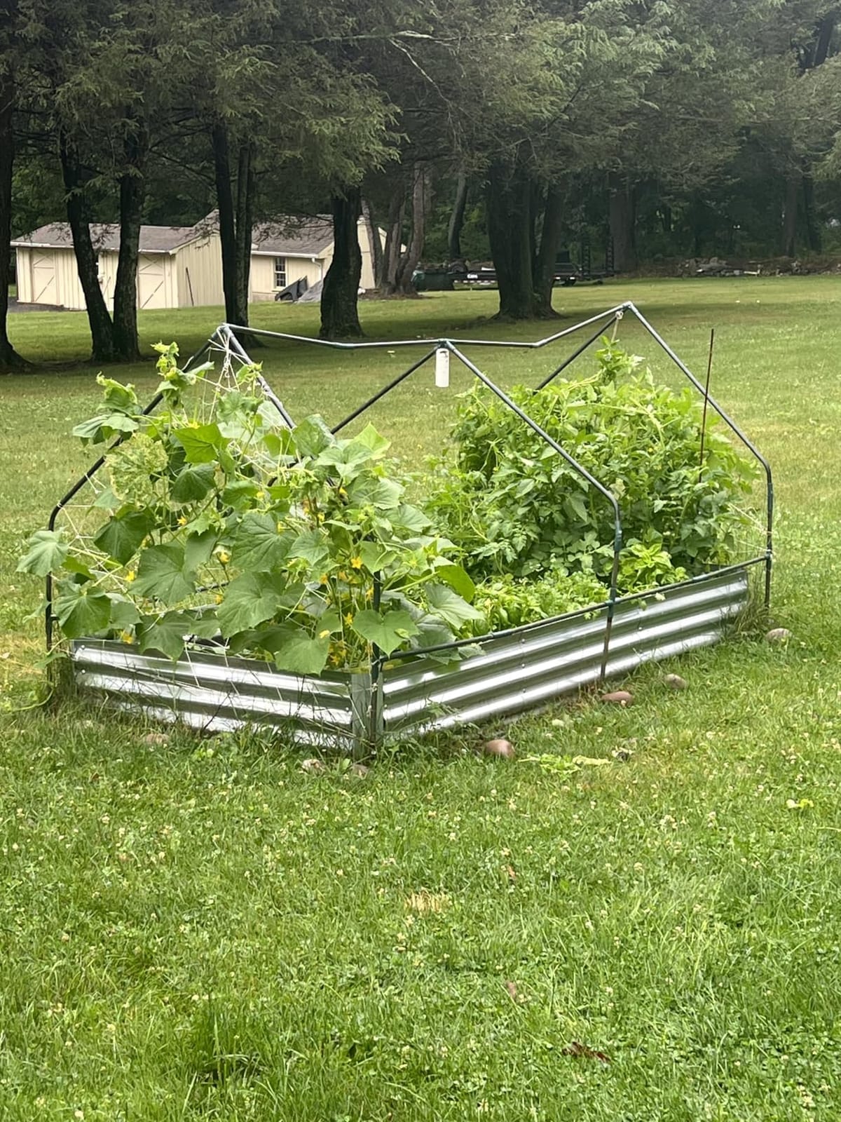 Ohuhu 8x4x1 FT Raised Garden Bed Outdoor with Cover, 3-in-1 Gardening Set customer photo 1