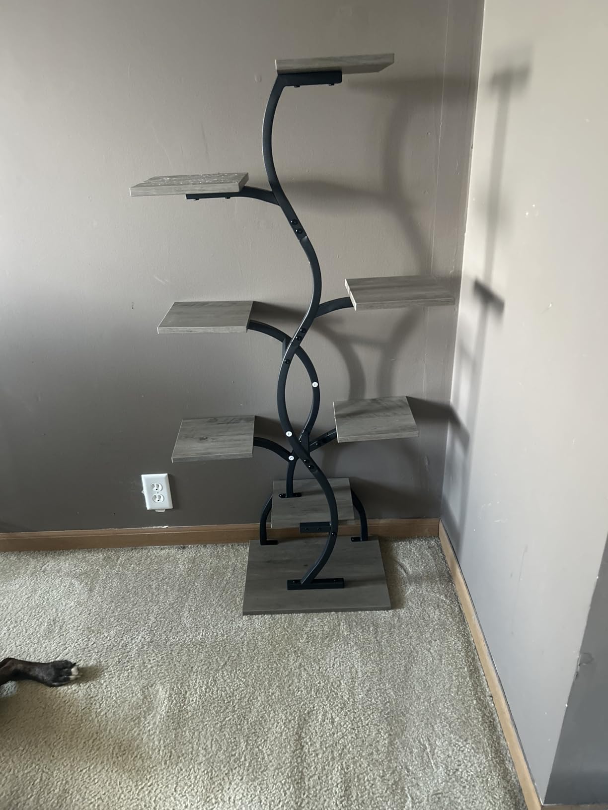 Plant Stand Indoor with Grow Light - 8 Tiered Corner Plant Shelf Indoor customer photo 1