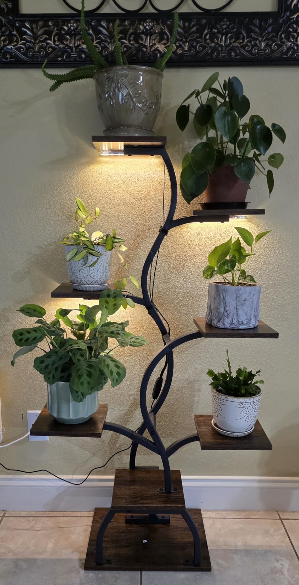 Plant Stand Indoor with Grow Light - 8 Tiered Corner Plant Shelf Indoor customer photo 2