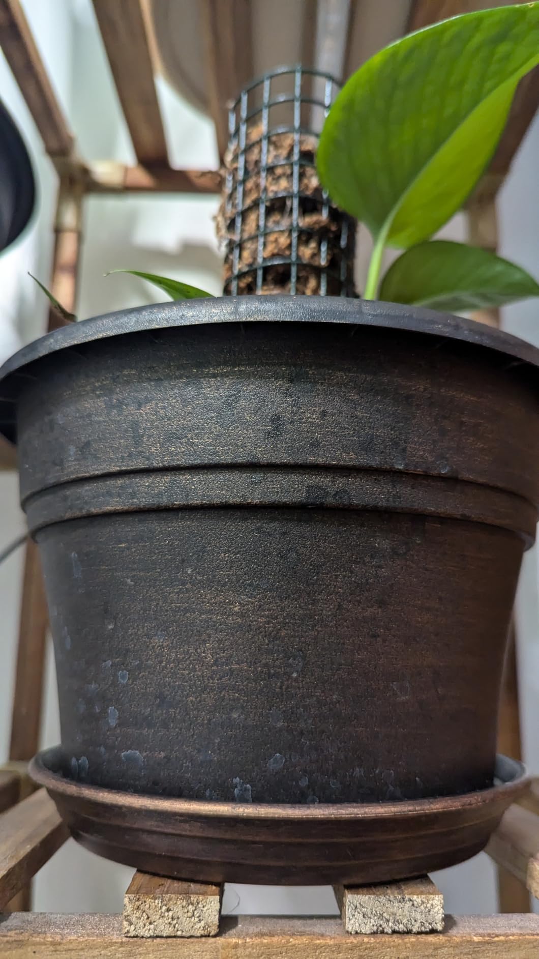 Fodetyff Planters-Plant-Pots-Indoor-Outdoor, 10 inch 4 Pack Copper customer photo 2