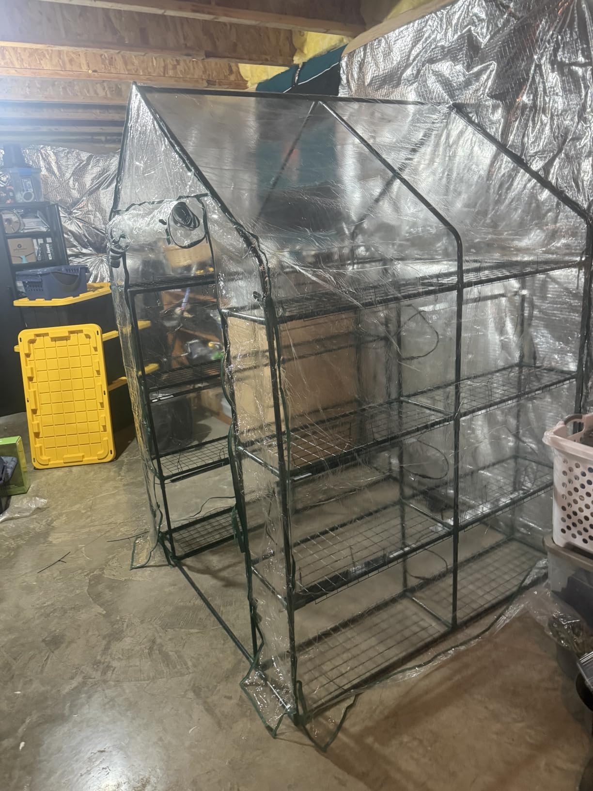 Bstrip Indoor Greenhouse with Grow Light, 4x20W Plant Lights with Timer customer photo 1