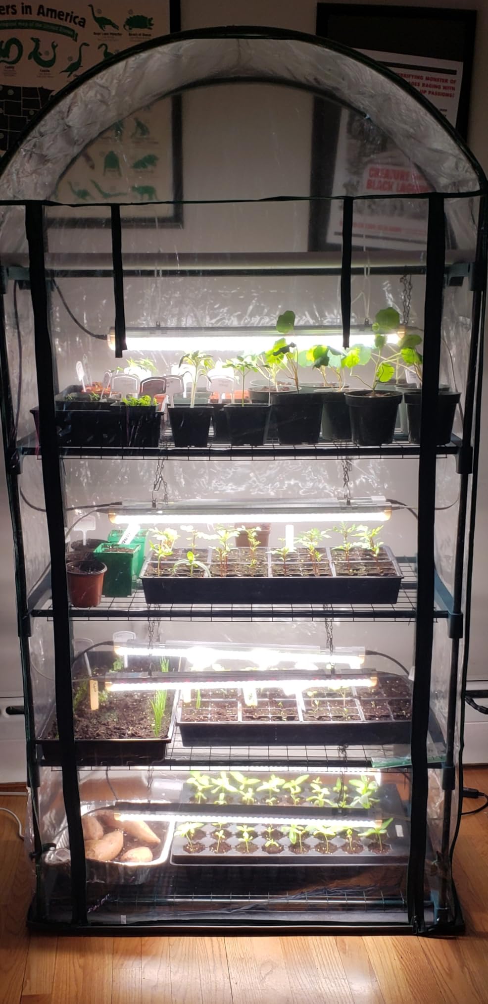 Bstrip Indoor Greenhouse with Grow Light, 4x20W Plant Lights with Timer customer photo 2