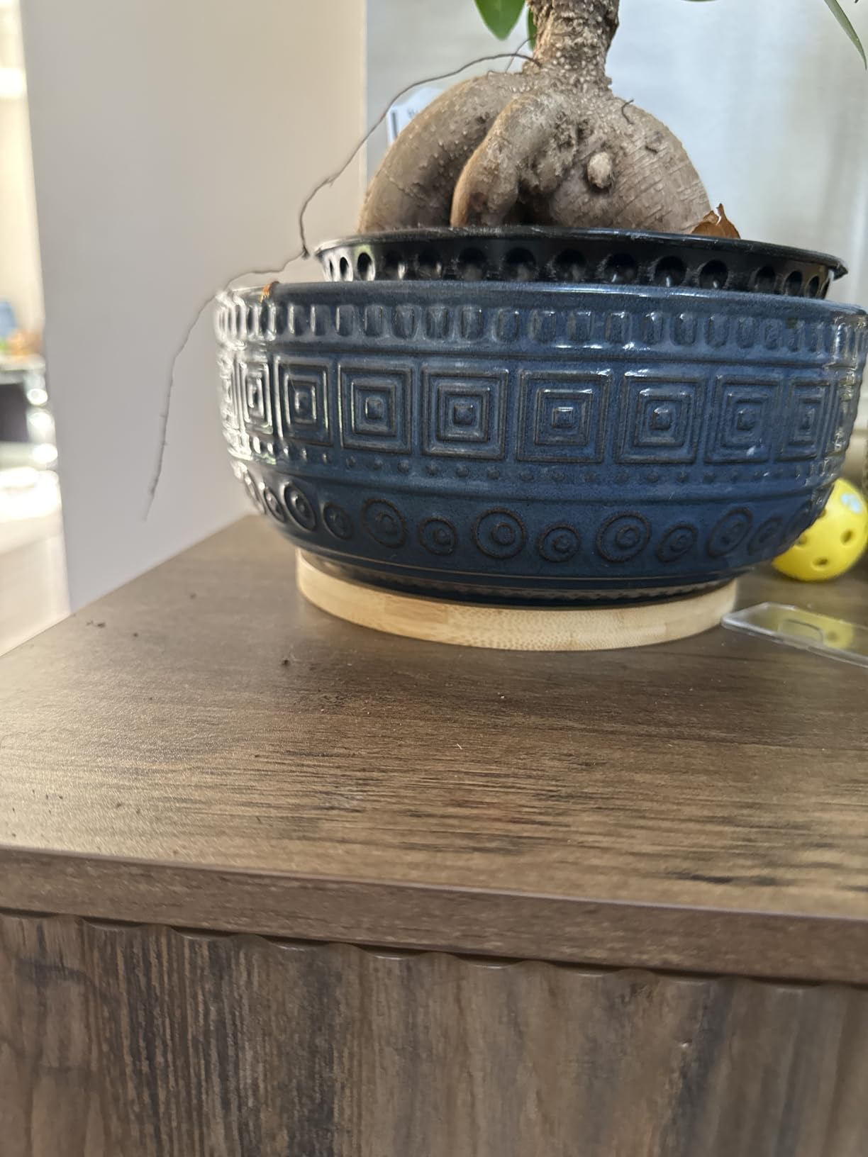 G EPGardening Bonsai Pots 8 Inch - Ceramic Succulent Pots, Round Planter for Indoor Plants, Modern Outdoor Planter with Drainage and Plant Saucer, Boho Home Decor, House Warming Gifts New Home, Blue customer photo 2
