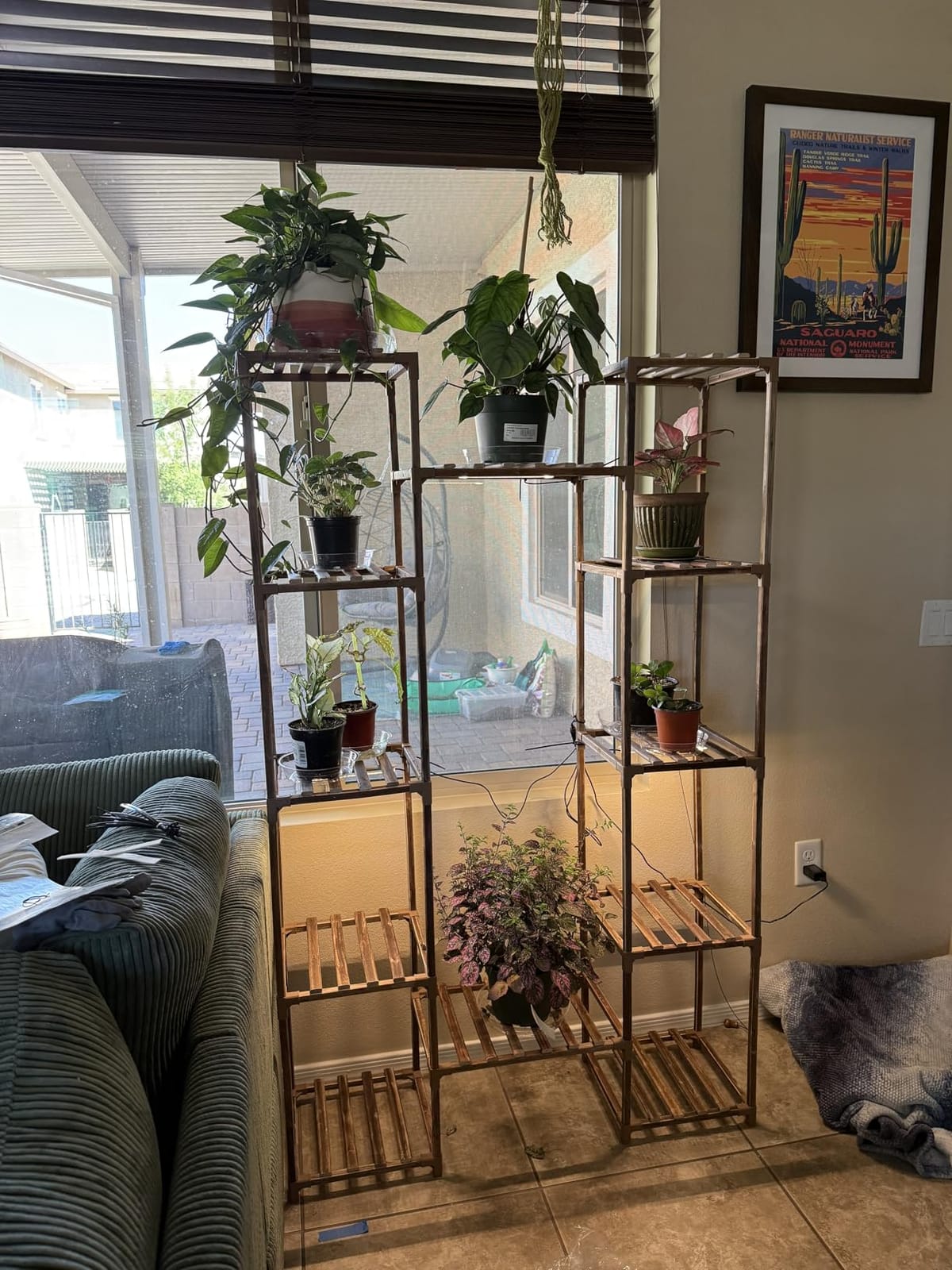 GENTINGBRO Plant Stand Indoor with Grow Lights for Indoor Plants 62.2'' Tall Plant Shelf 12 Tiers Sturdy Plant Rack for Plants Dispaly for Living Room Garden Patio Decor customer photo 1
