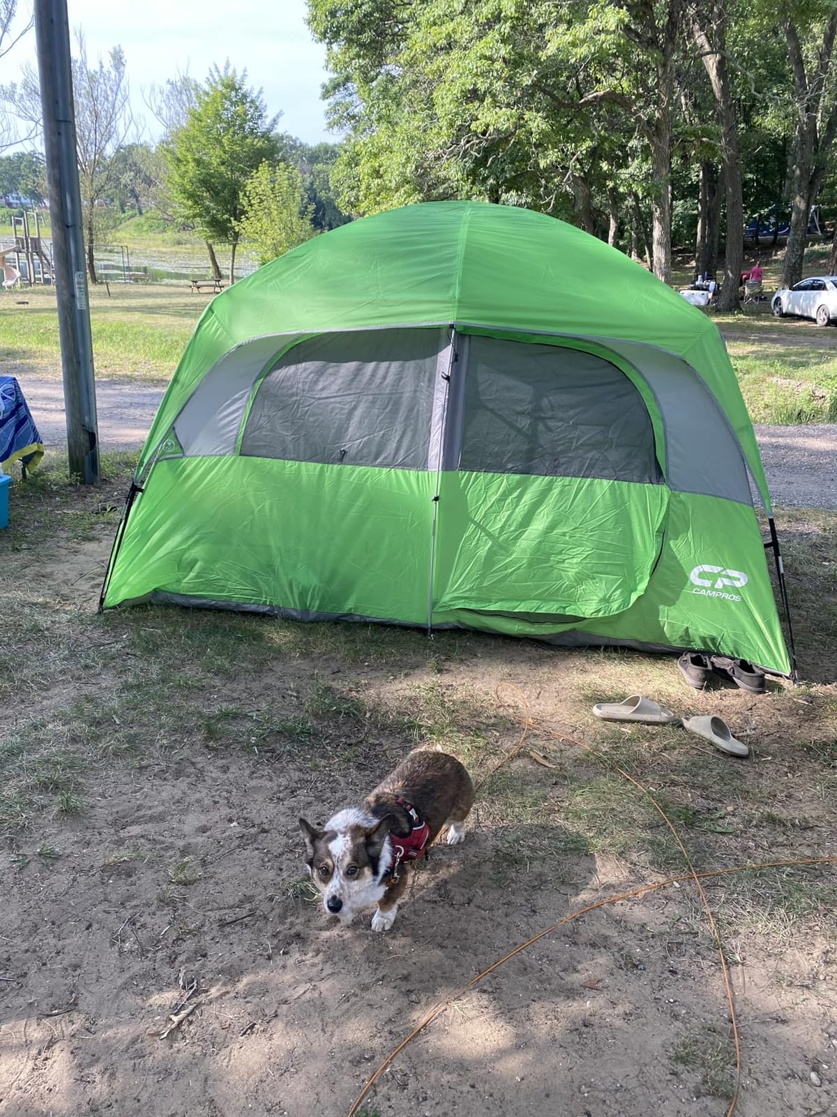 CAMPROS CP Upgraded 6/8 Person Camping Tents, Waterproof Family Tent customer photo 2