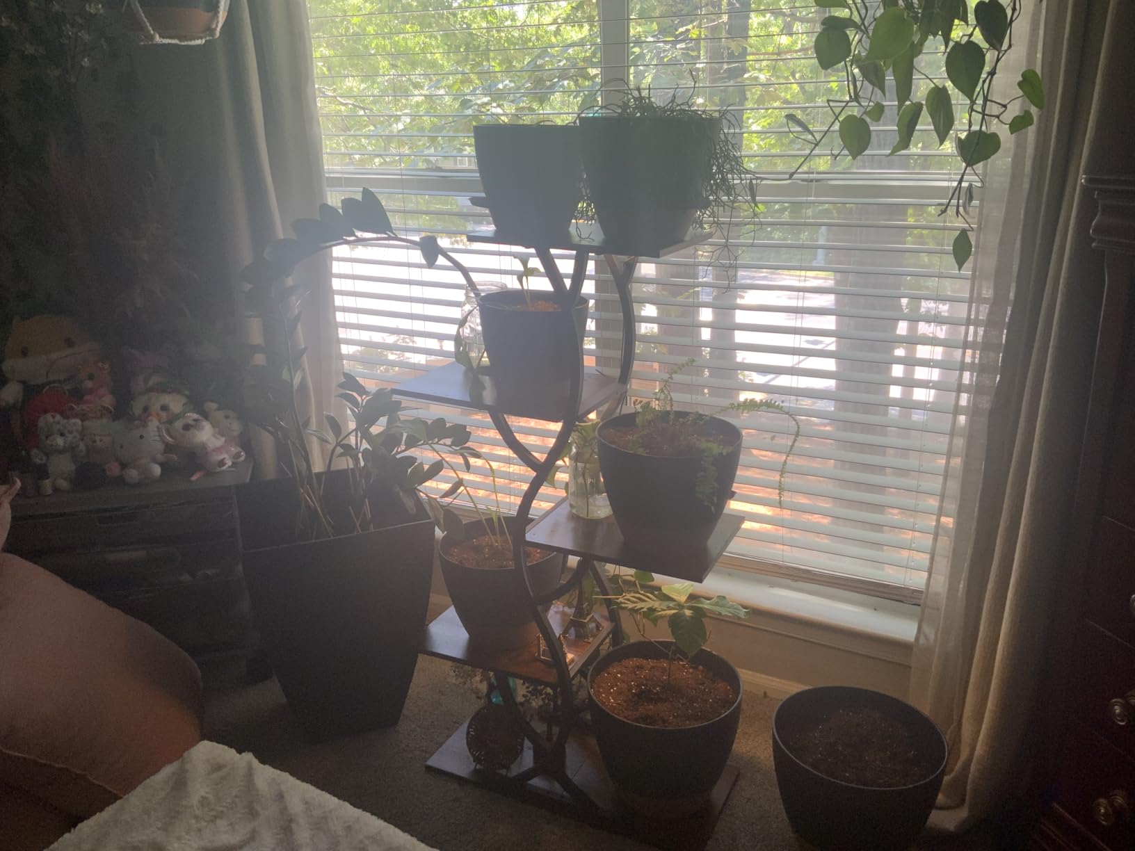 8/10/12 Inch Self Watering Pots for Indoor/Outdoor Plants customer photo 1