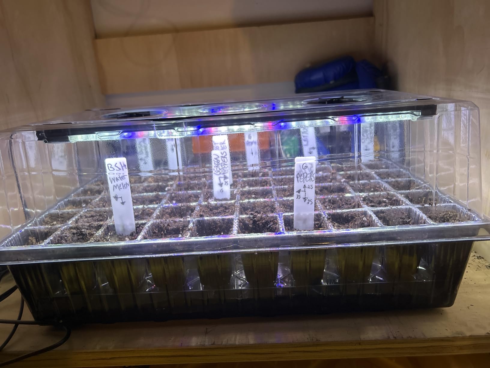 Patigrow 120-Cell Self-Watering Seed Starter Tray with Grow Light, Seed Starter Kit with 4.07