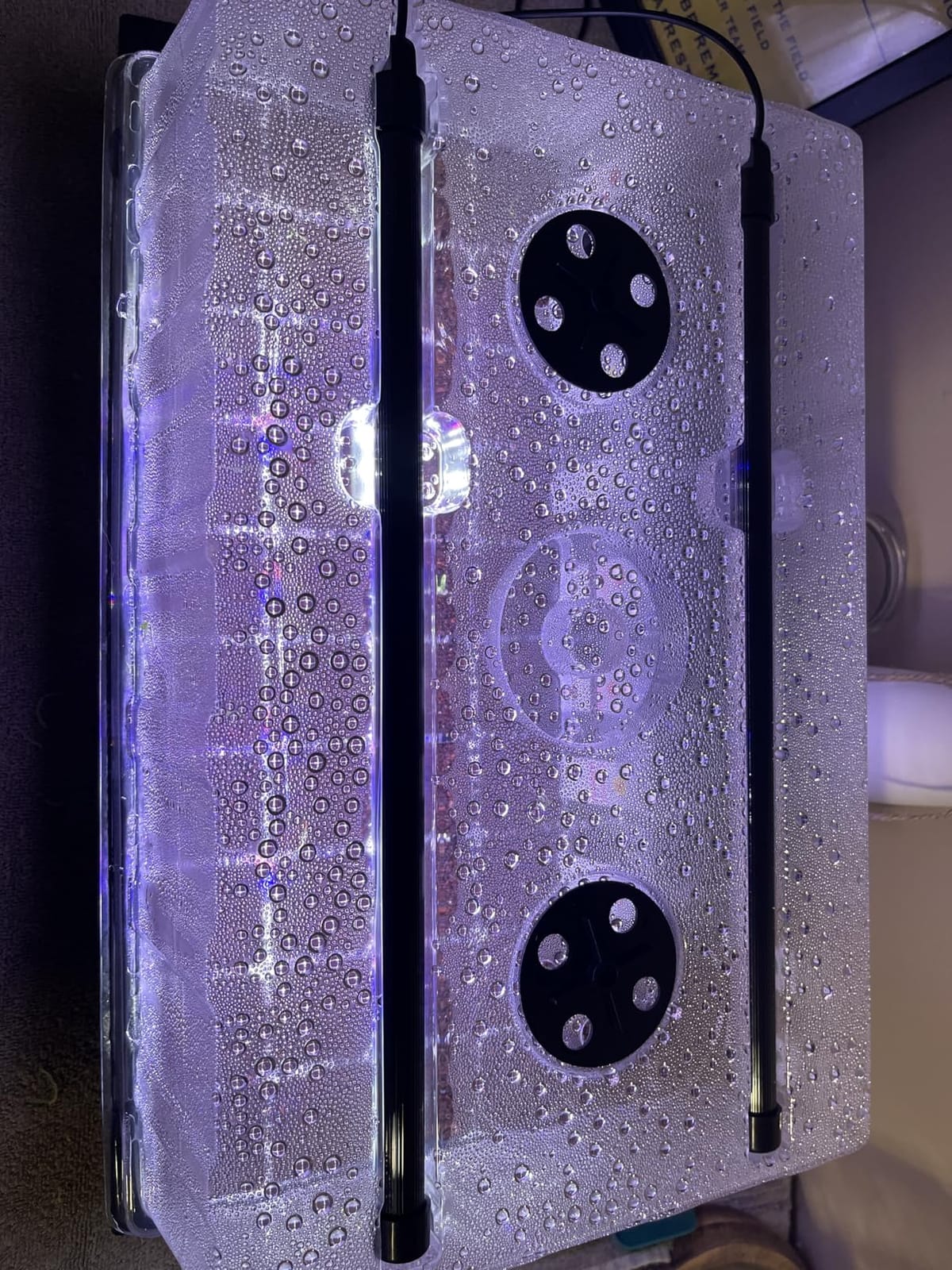 Patigrow 120-Cell Self-Watering Seed Starter Tray with Grow Light, Seed Starter Kit with 4.07