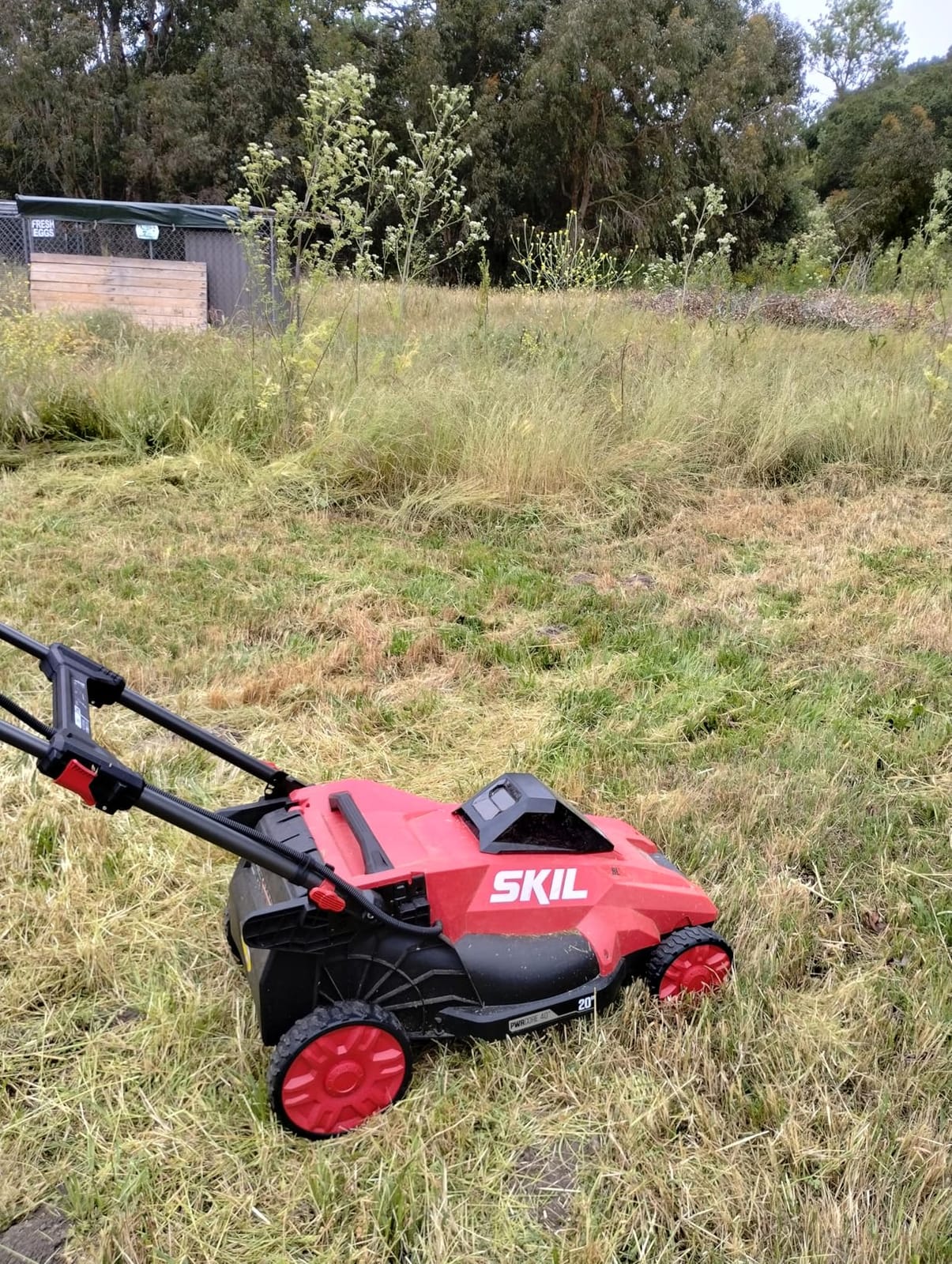 SKIL PWR CORE 40 Brushless 40V 20-Inch Push Mower Kit, Includes 6.0Ah Battery and 150W Charger - PM4910-15 customer photo 2