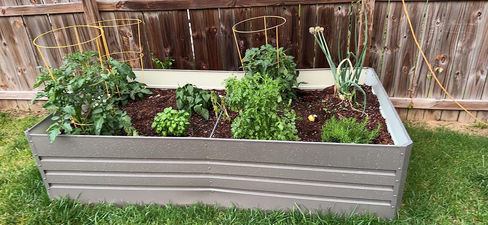 Thanaddo Galvanized Raised Garden Bed 8x4x2ft Outdoor Planter Box Galvanized Steel Garden Bed Kit for Vegetables, Flowers, Herbs and Succulents Black customer photo 2