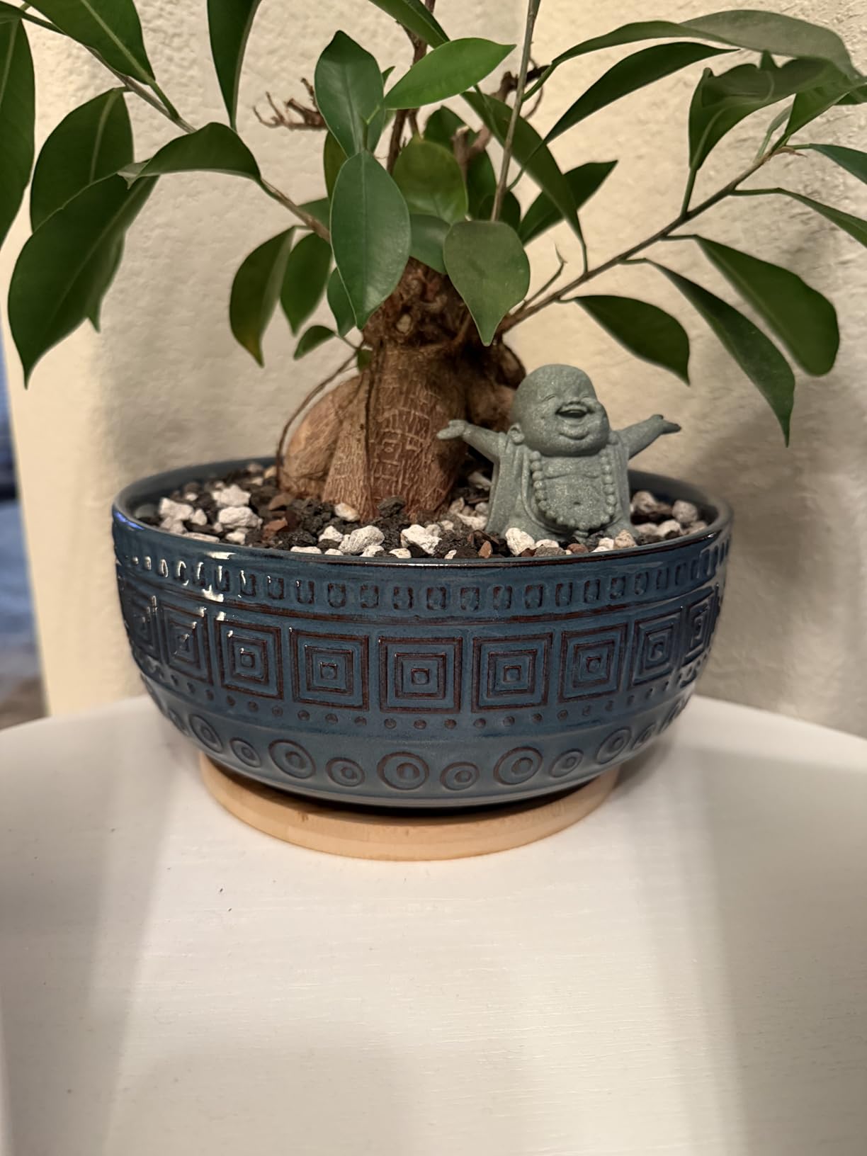 G EPGardening Bonsai Tree Pot, 8 Inch Ceramic Planter with Saucer, Green customer photo 2