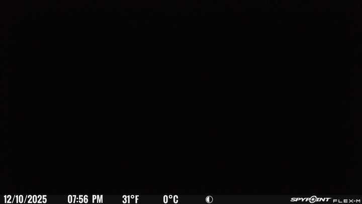 SPYPOINT Flex-M and SD Card Pack - Cellular Trail Cameras |Best Value in Hunting Accessories |No WiFi Needed & GPS-Enabled |Hunting Night Vision | IP65 Waterproof |28MP Photos, 720p Videos customer photo 2