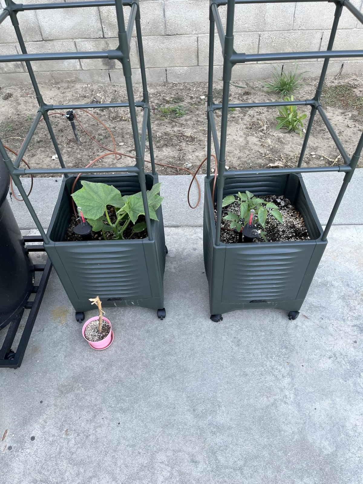 Tomato Planter Pot Tomato Box Raised Garden Bed 56.5