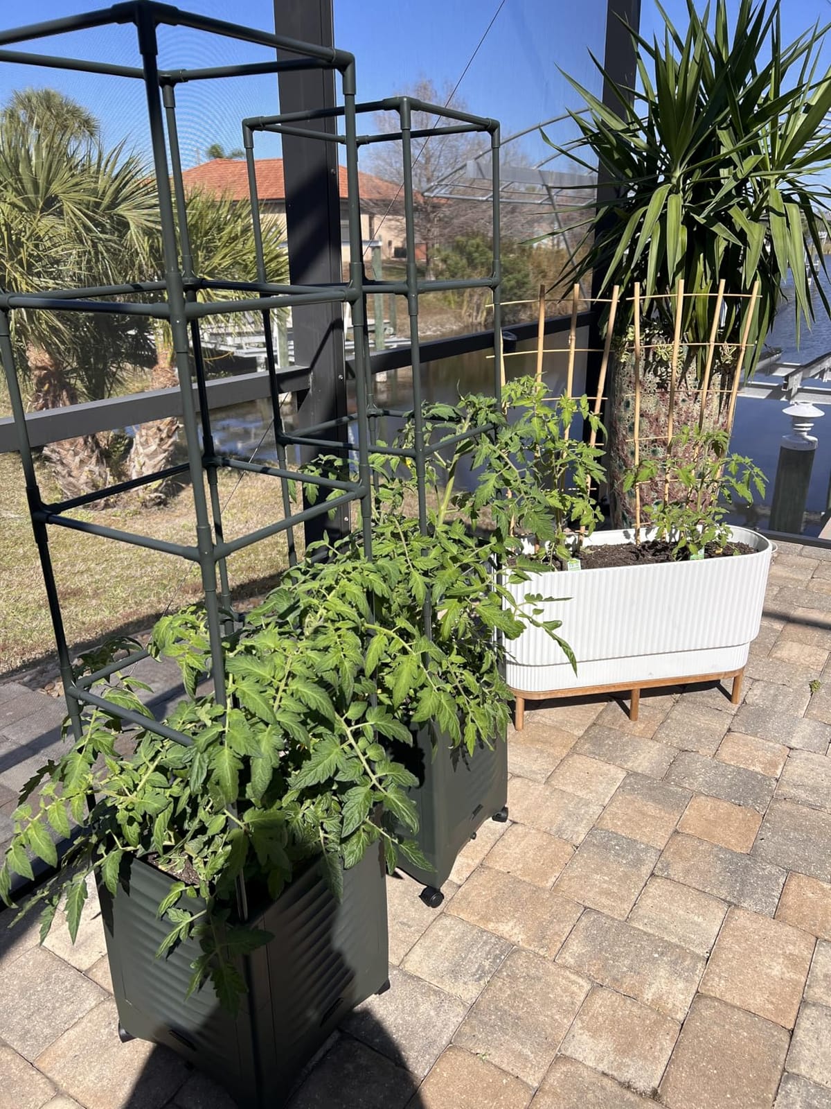 Tomato Planter Pot Tomato Box Raised Garden Bed 56.5