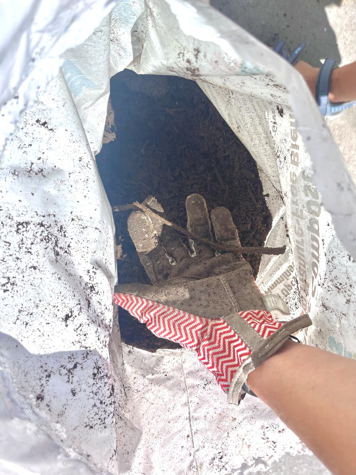 Back to the Roots 25.7qt (1 Cubic ft) Organic Premium Compost customer photo 2