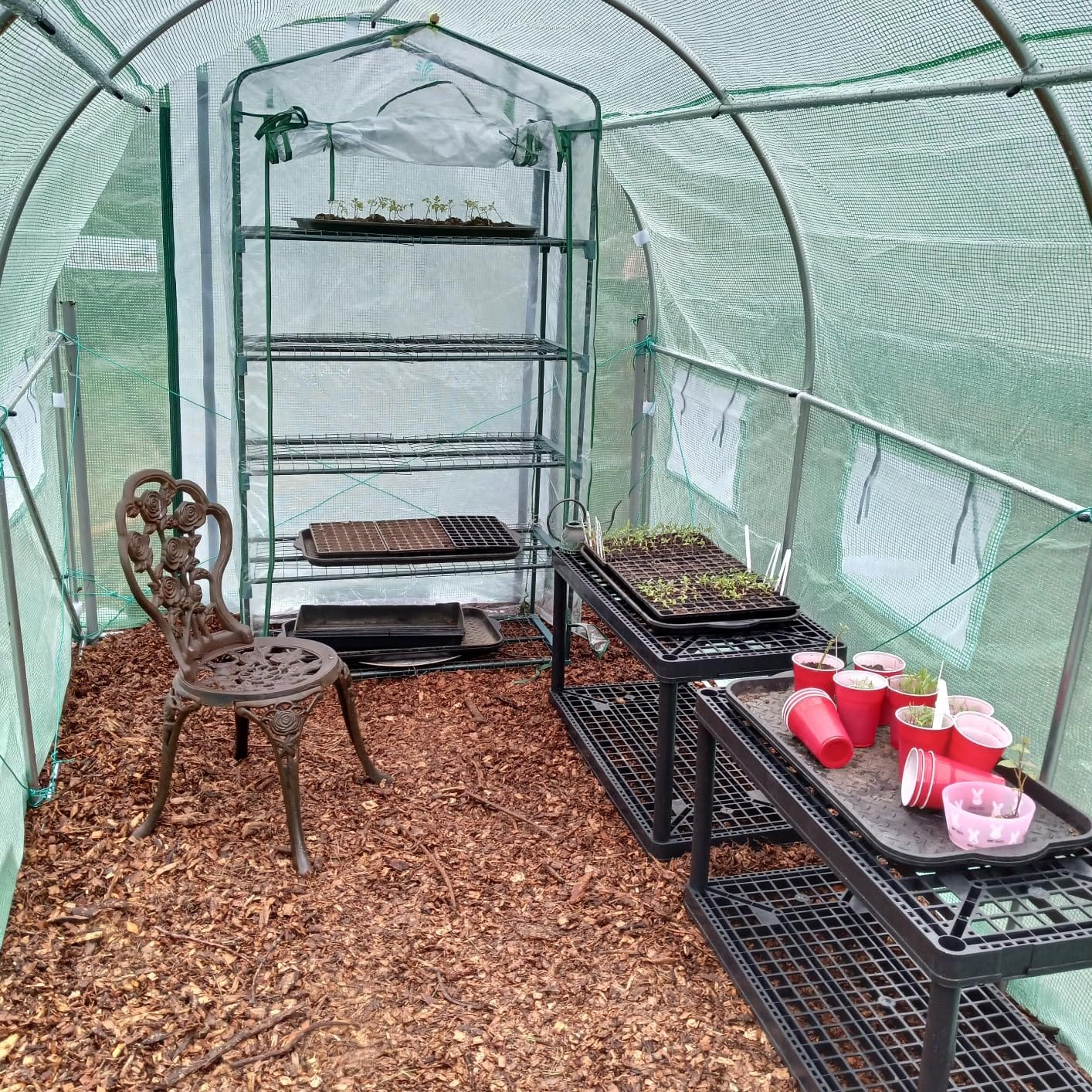 KING BIRD Premium 25x10x6.6FT Greenhouse for Outdoors, Large Walk-in House customer photo 1