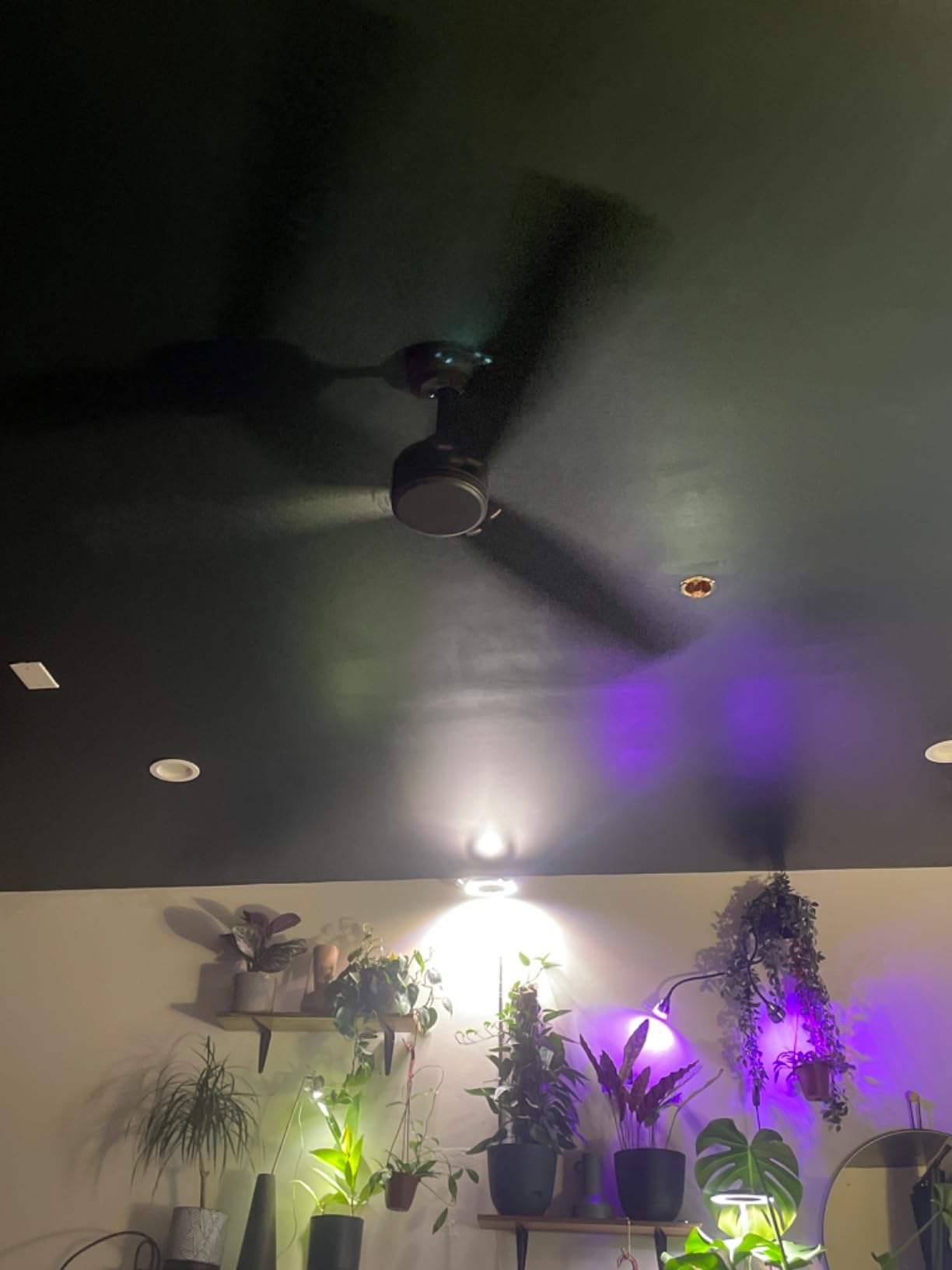 ZMISHIBO 2 Pack 42 Inch Black Ceiling Fans no Light with Remote, 6 Speeds customer photo 1