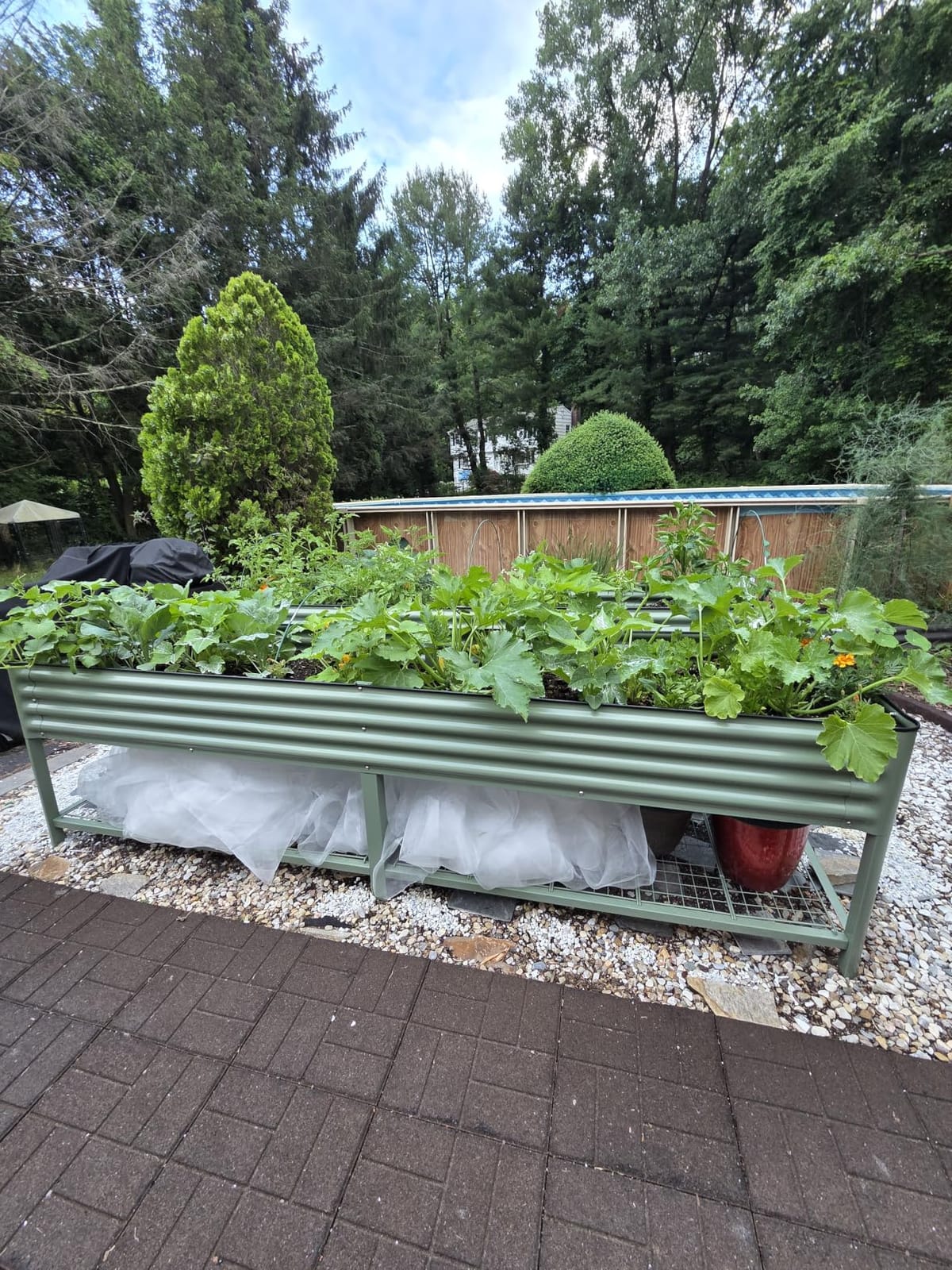 Vego garden Elevated Raised Garden Bed, 2' x 4' Outdoor Planters Boxes with Legs & Storage Rack for Patio, 700 Lbs Weight Capacity, Raised Beds for Gardening Herbs Vegetables, Olive Green customer photo 1