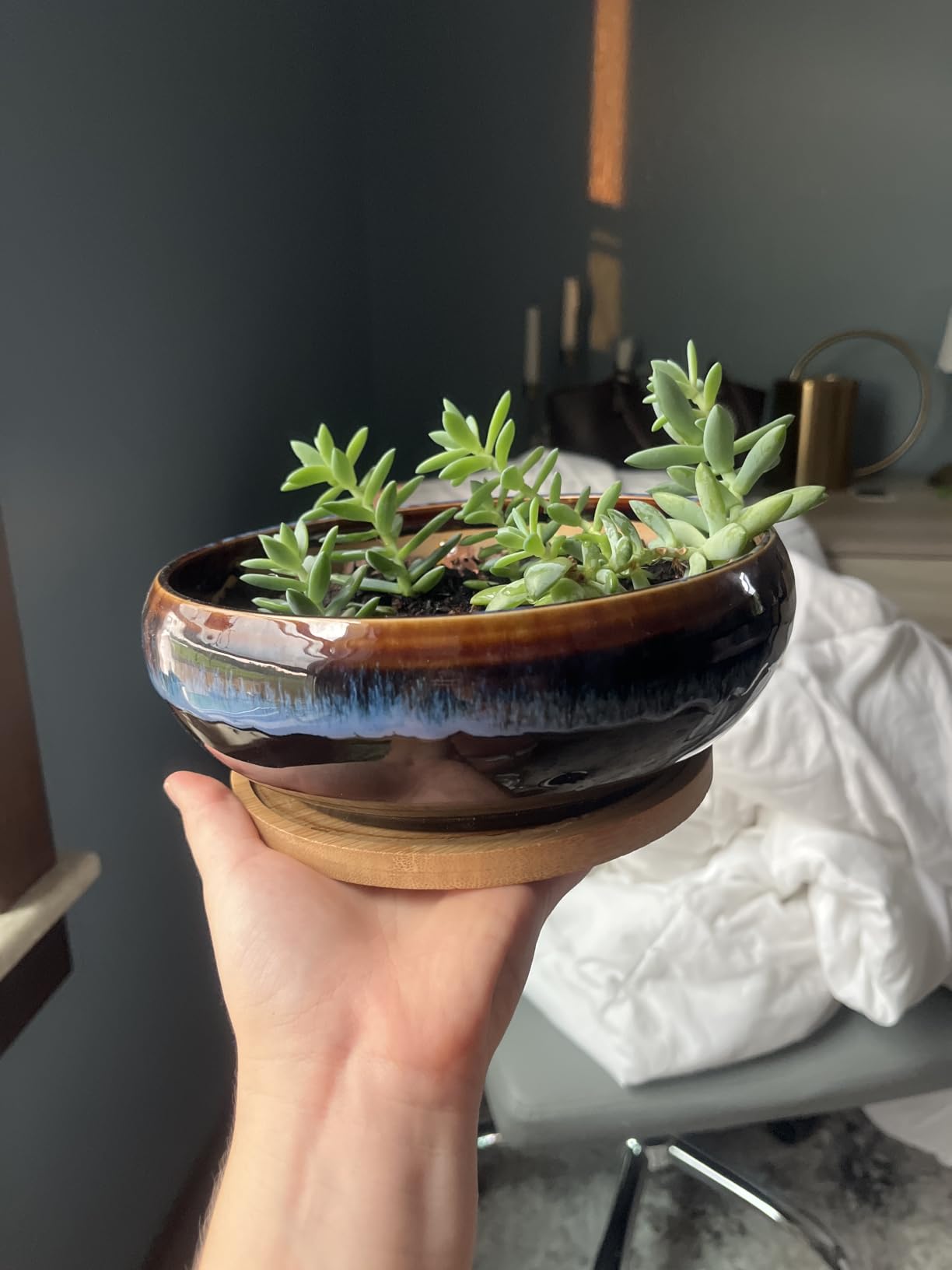 SQOWL Small Bonsai Pots - 6 Inch Ceramic Plant Pots for Succulents, Shallow Planter with Drainage Hole and Saucer, Round Planters for Indoor Outdoor Cactus Plants, House Decor, Birthday Gifts, Beige customer photo 1