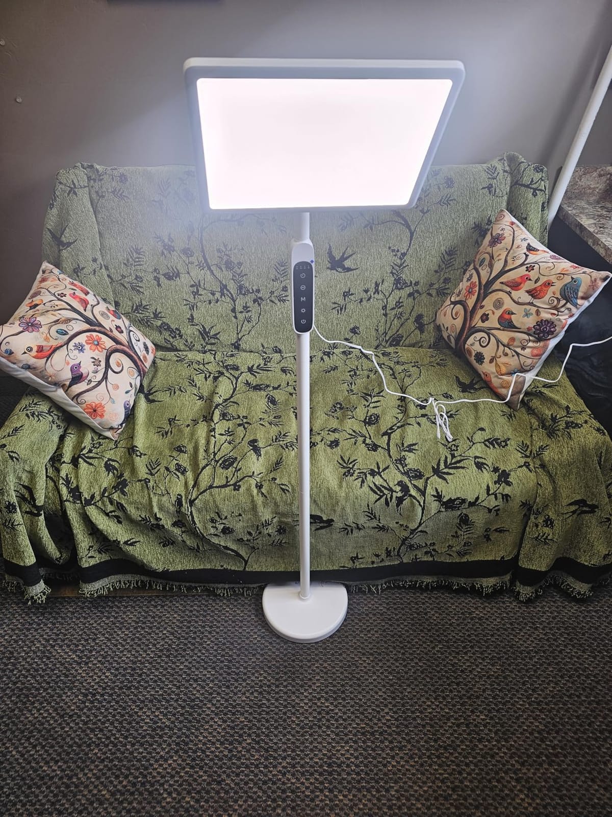 12000 Lux Light Therapy Lamp, Full Spectrum Sunlight Lamp, UV-Free Sun Lamp customer photo 2