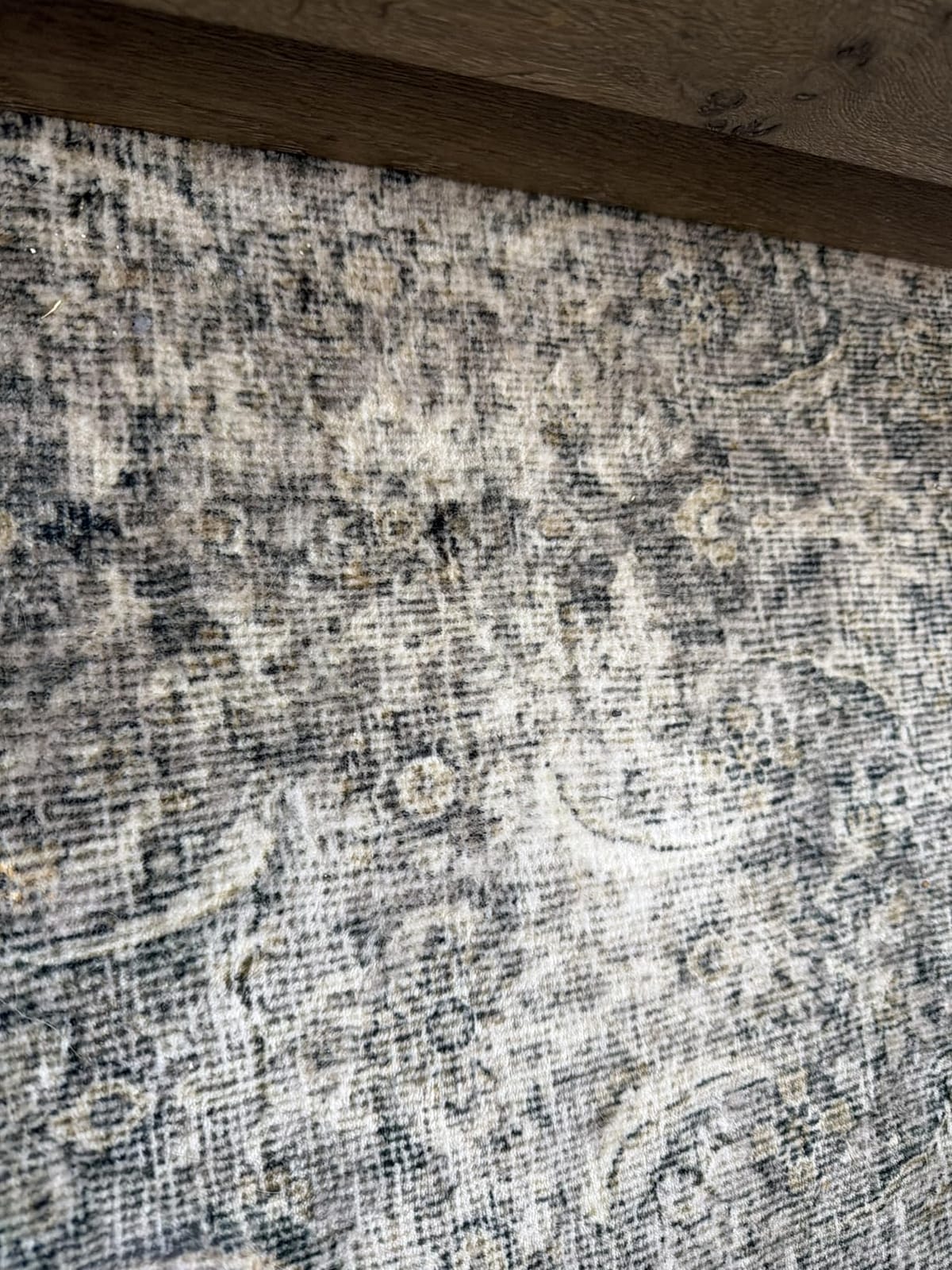 Area Rugs 9x12 Living Room: Washable Bedroom Rug Non Slip Large Boho Carpet | Low Pile Soft Faux Wool Non Shedding Stain Resistant Vintage Area Rugs for Dining Under Table Dorm Nursery Playroom Office customer photo 2