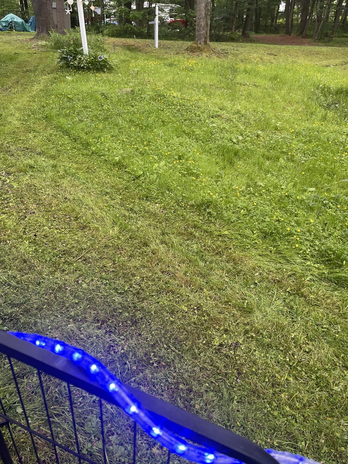 LawnMaster Electric Lawn Mower 12AMP 19-Inch ME1218X.01 customer photo 1