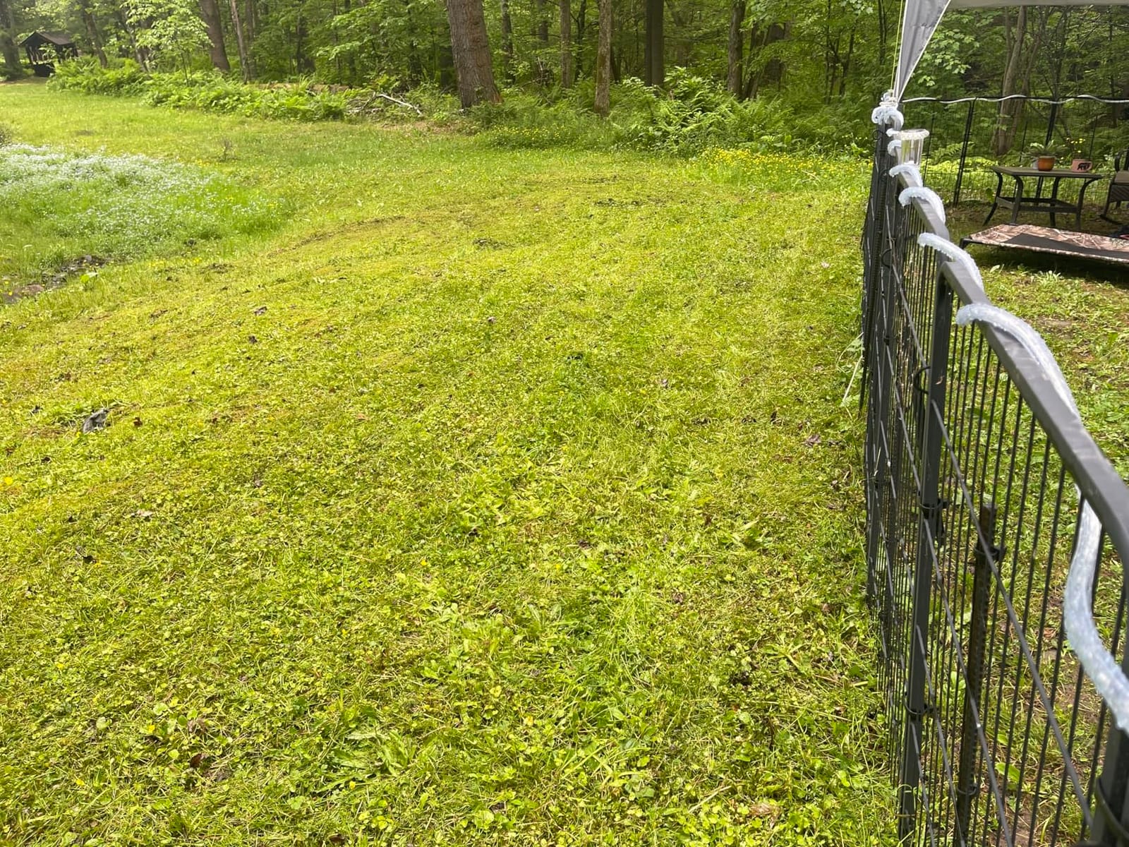 LawnMaster Electric Lawn Mower 12AMP 19-Inch ME1218X.01 customer photo 2