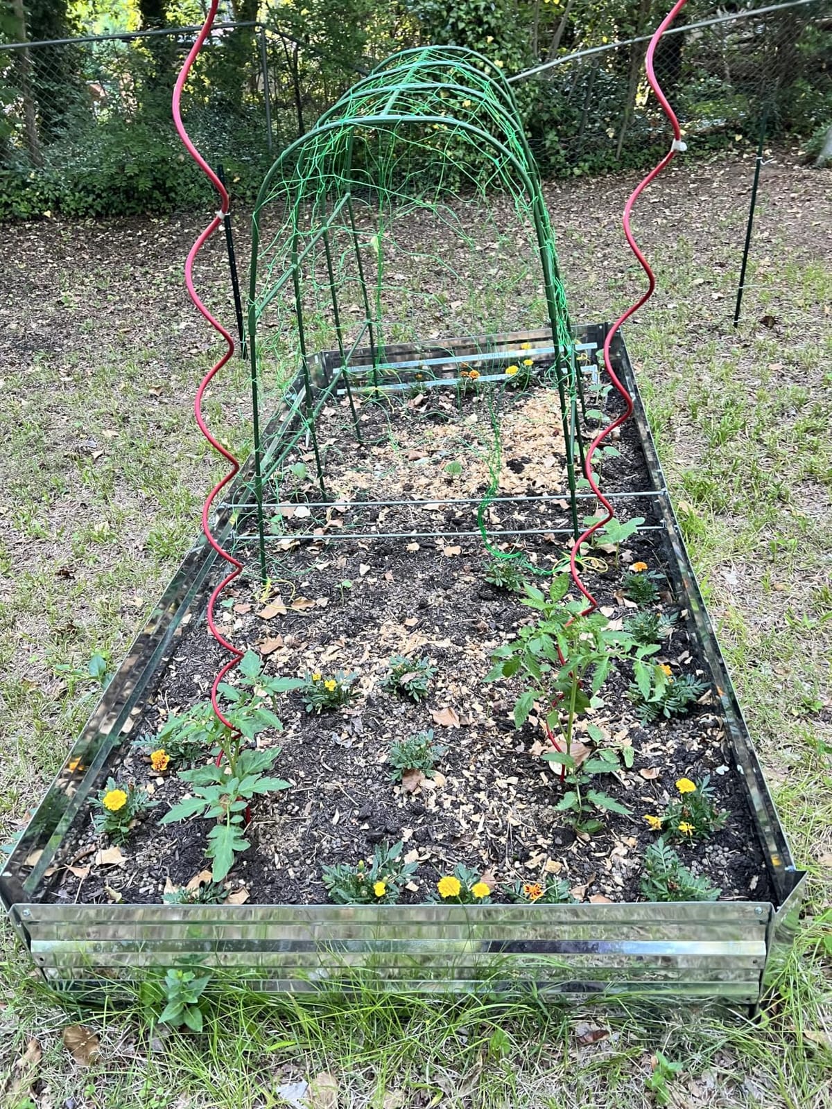 Galvanized Raised Garden Bed 8x4x1ft 3-Pack customer photo 1
