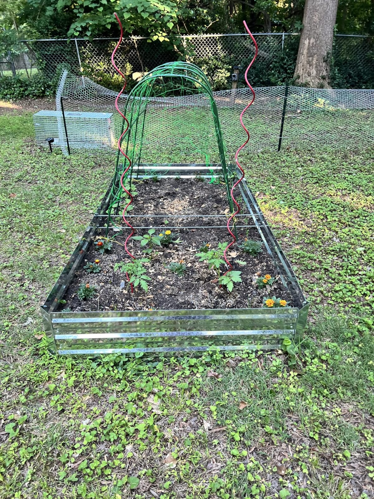 Galvanized Raised Garden Bed 8x4x1ft 3-Pack customer photo 2