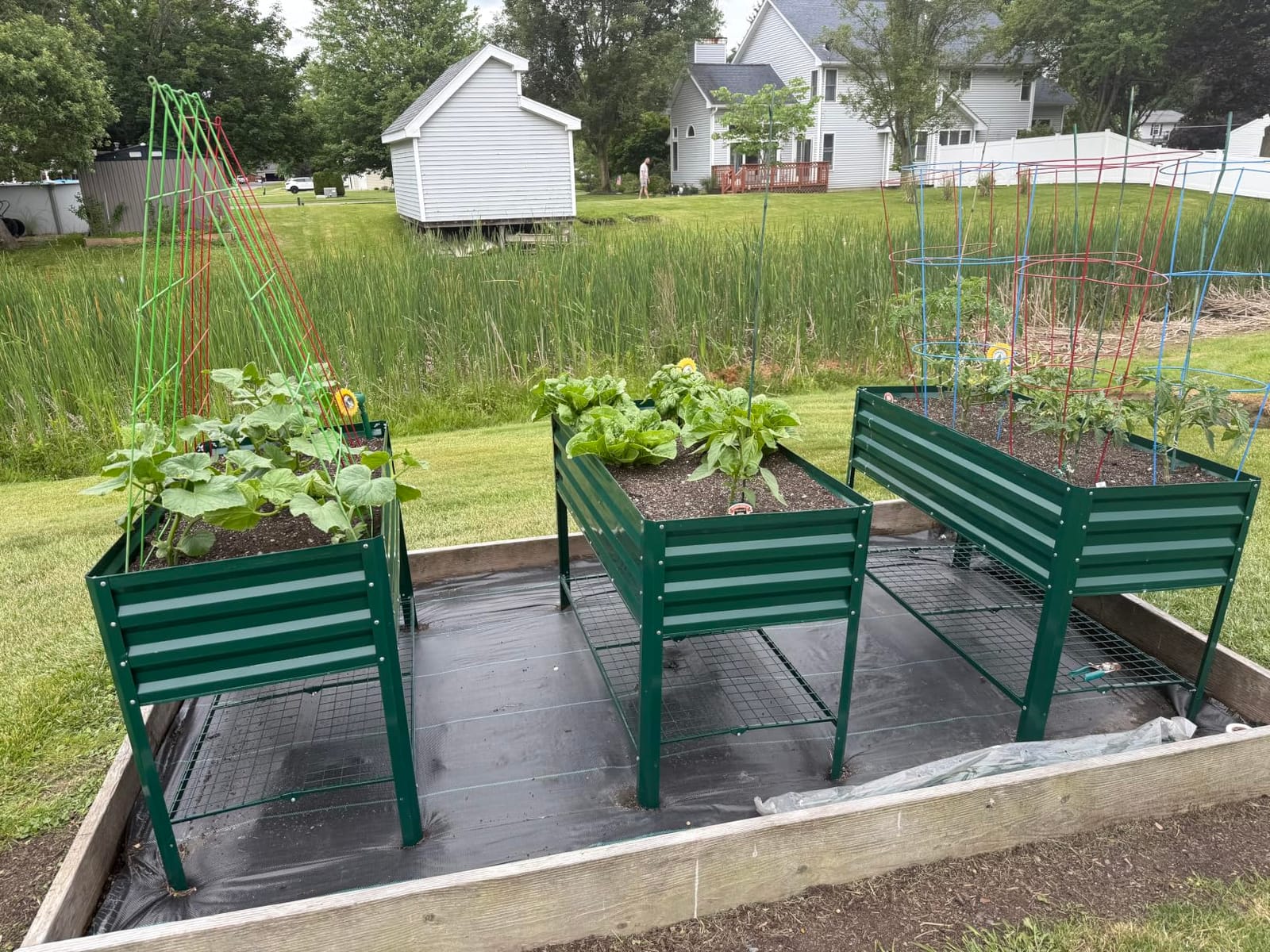 KING BIRD Large Raised Garden Bed with Legs & Storage Shelf 48×24×31.5 in customer photo 2