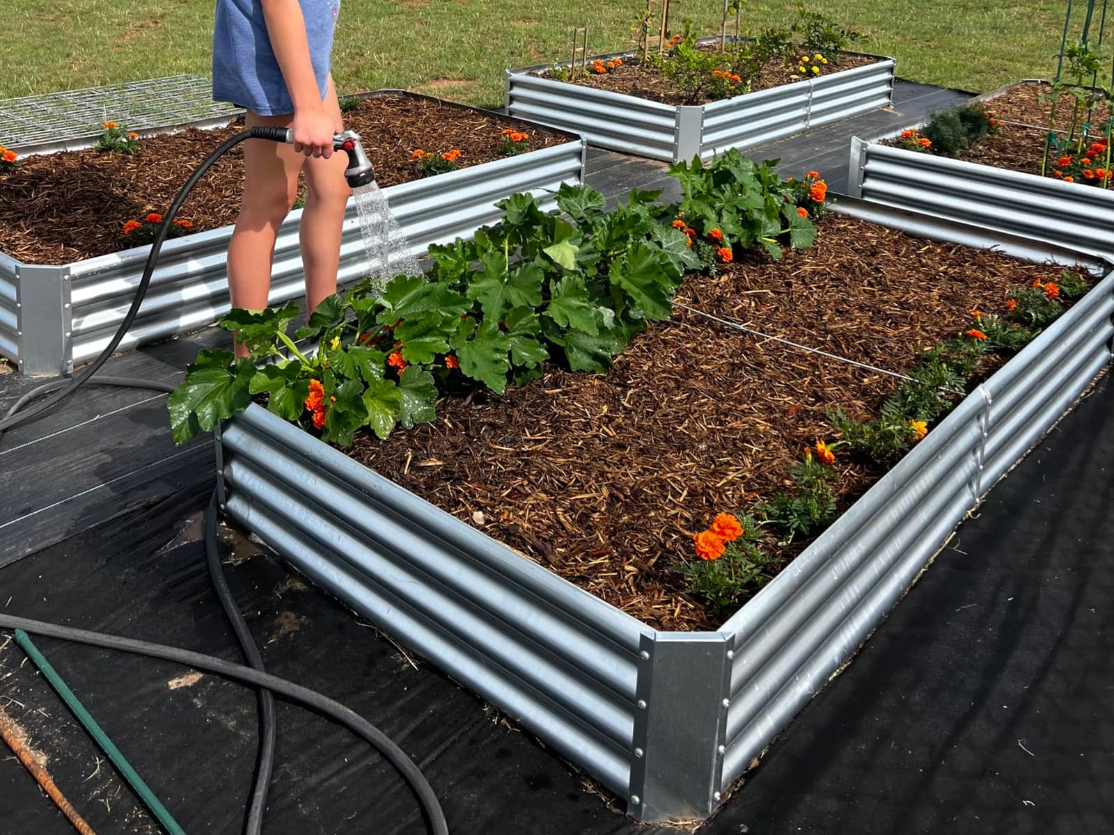Land Guard 3 Pack 8×4×1ft Galvanized Metal Raised Garden Bed, Metal Planter Kit Box Outdoor for Deep-Rooted Vegetables, Flowers, Green and Herbs, Silver customer photo 1