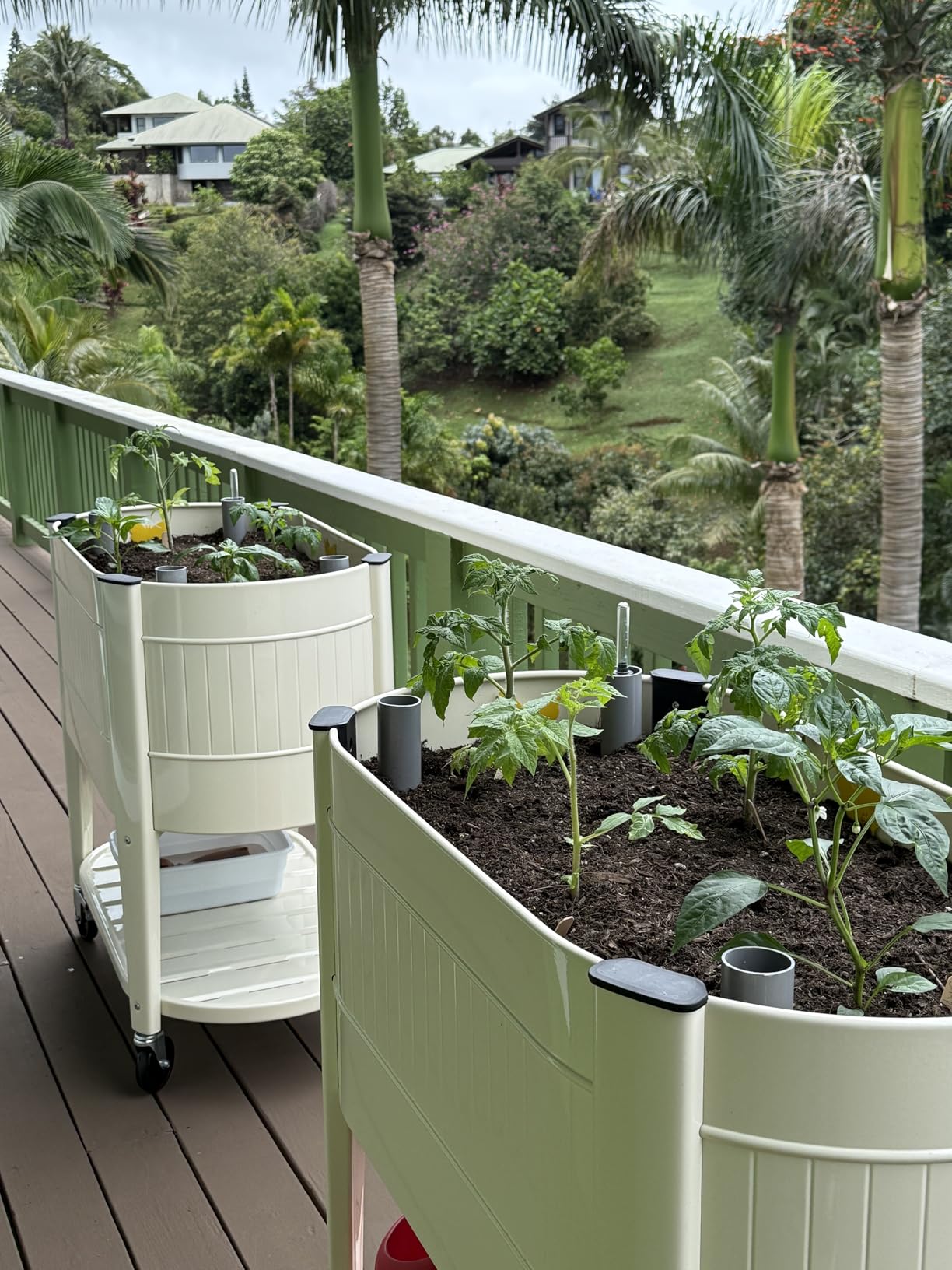 Permasteel Raised Garden Bed with Legs, 40×20×37 in, Planter Box with EnGrow™ TrueSoil™ Technology for Vegetables, Flowers, Herbs, and Fruit, Outdoor Indoor, Storage Shelf, Wood Brown customer photo 2