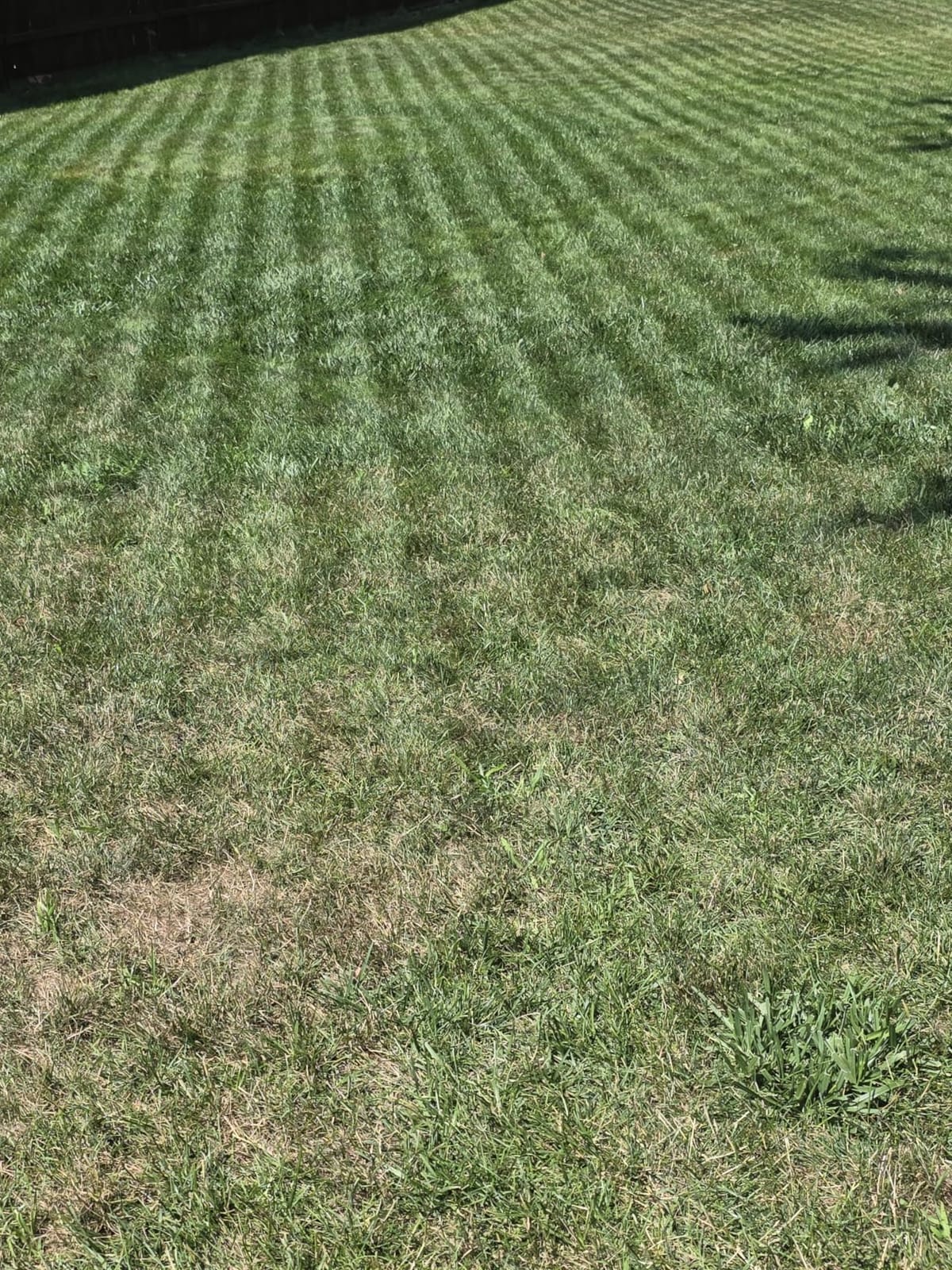Sunseeker S4 Robot Lawn Mower, 3D LiDAR, Vision AI, 0.25 Acre, Wire-Free customer photo 2