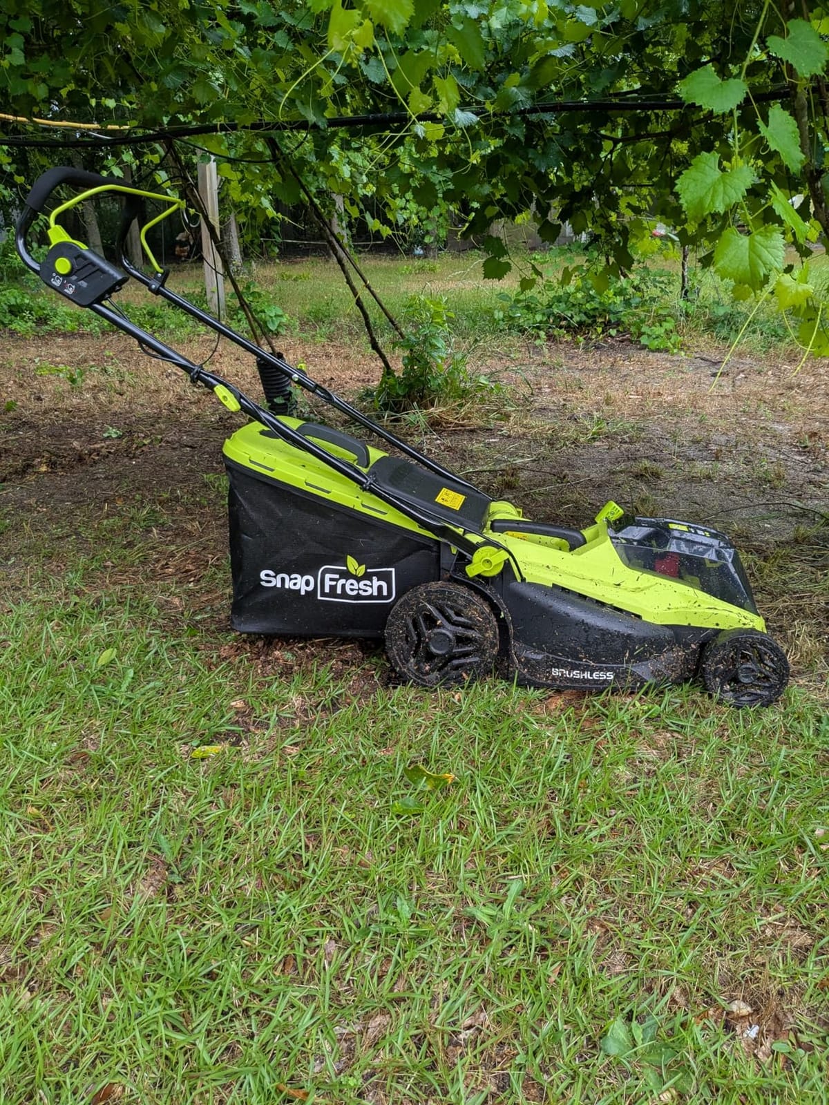 SnapFresh 40V 17” Brushless Lawn Mower – 2 x 5.0Ah Batteries Electric Cordless Push Mower with Fast Charger, 6-Level Height Adjustment, 45L Grass Bag, Lightweight Battery Powered Mower customer photo 1