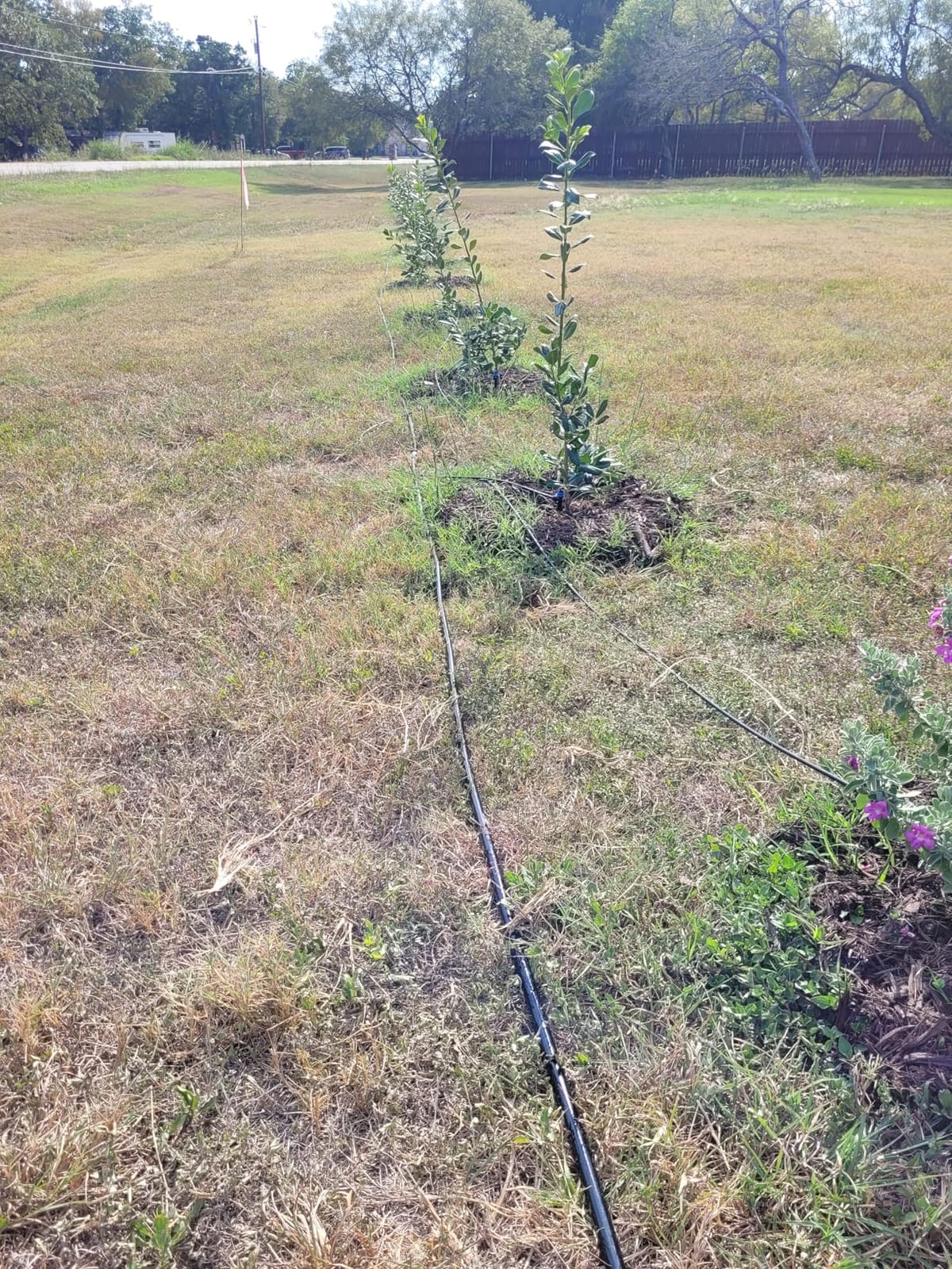 MIXC 300FT Drip Irrigation System Kit, Automatic Garden Misting Watering System with 100FT 1/2