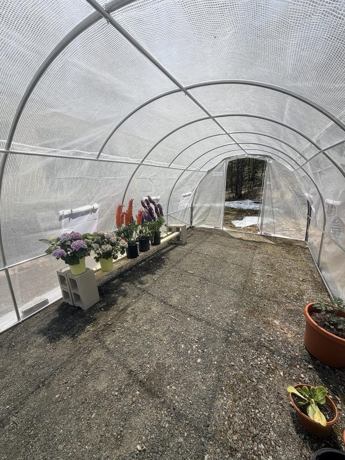 Quictent 20x10x6.6 FT Premium Greenhouse for Outdoors with 2 Door Frames customer photo 1