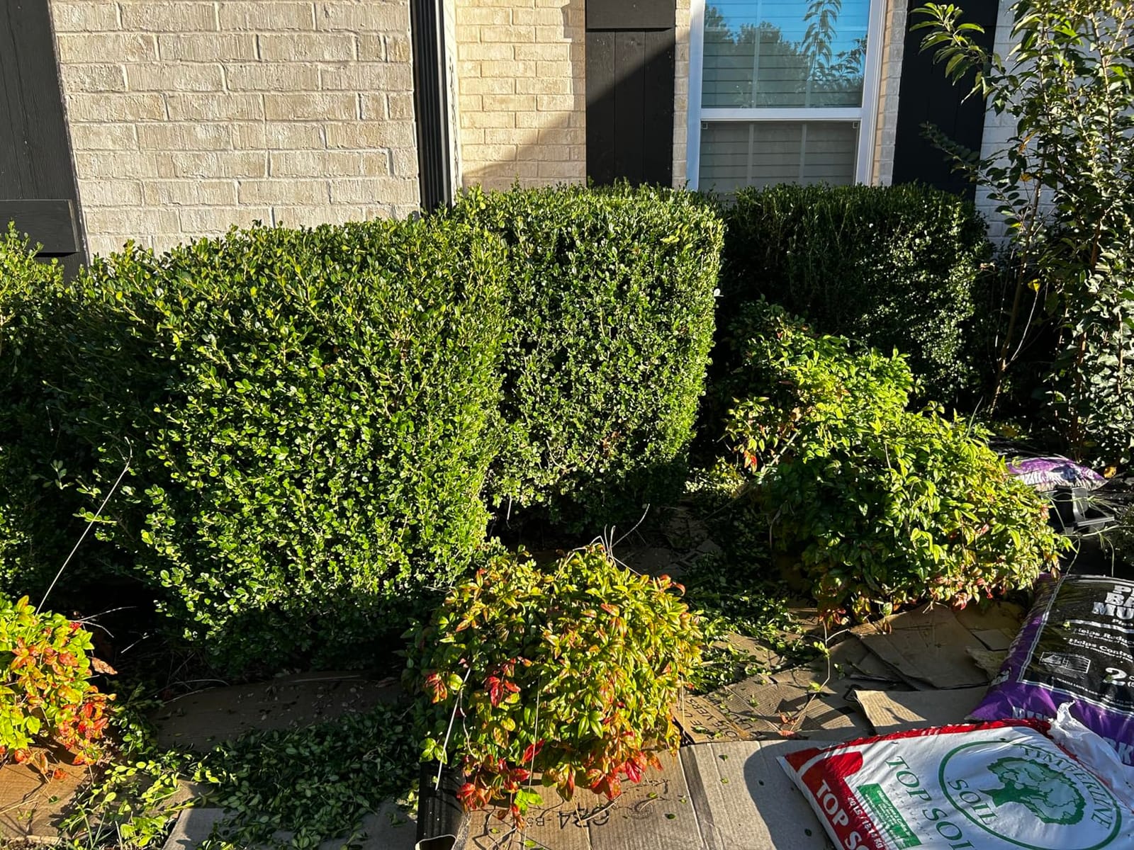 EWORK 700 CFM Cordless Electric Leaf Blower with Battery and Fast Charger customer photo 2