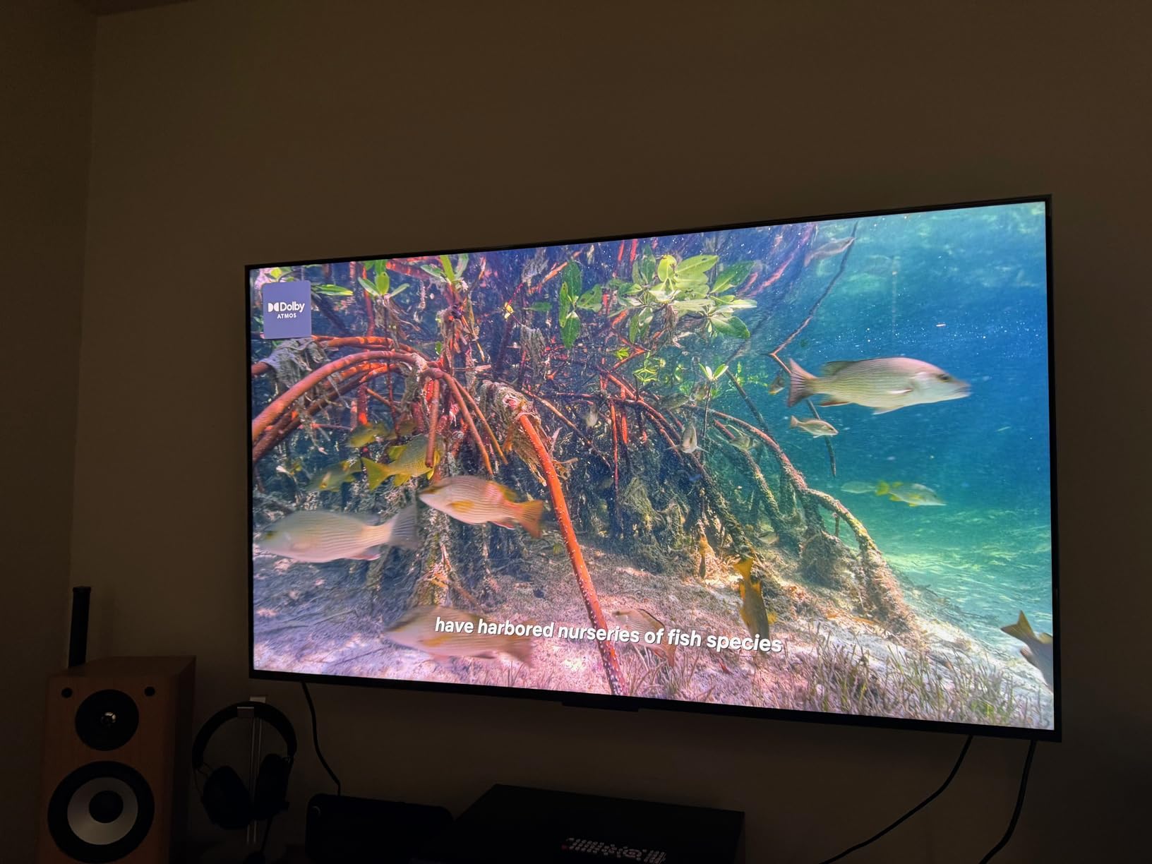 TCL 65 Inch Class QM7L Series | SQD-Mini-LED QLED Smart TV | 65QM7L, 2026 Model | 144Hz | Ultimate Color Ultra Brightness & Contrast | Google AI Bang & Olufsen | Voice Gaming Streaming Television customer photo 2