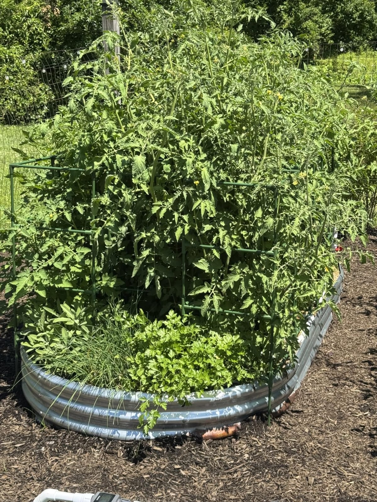 Land Guard 2 Pack 4×2×1ft Galvanized Raised Garden Bed Outdoor, Heavy Duty Bottomless Metal Raised Planter Box for Vegetables, Flowers, Herbs, Backyard Patio Gardening, Silver customer photo 2