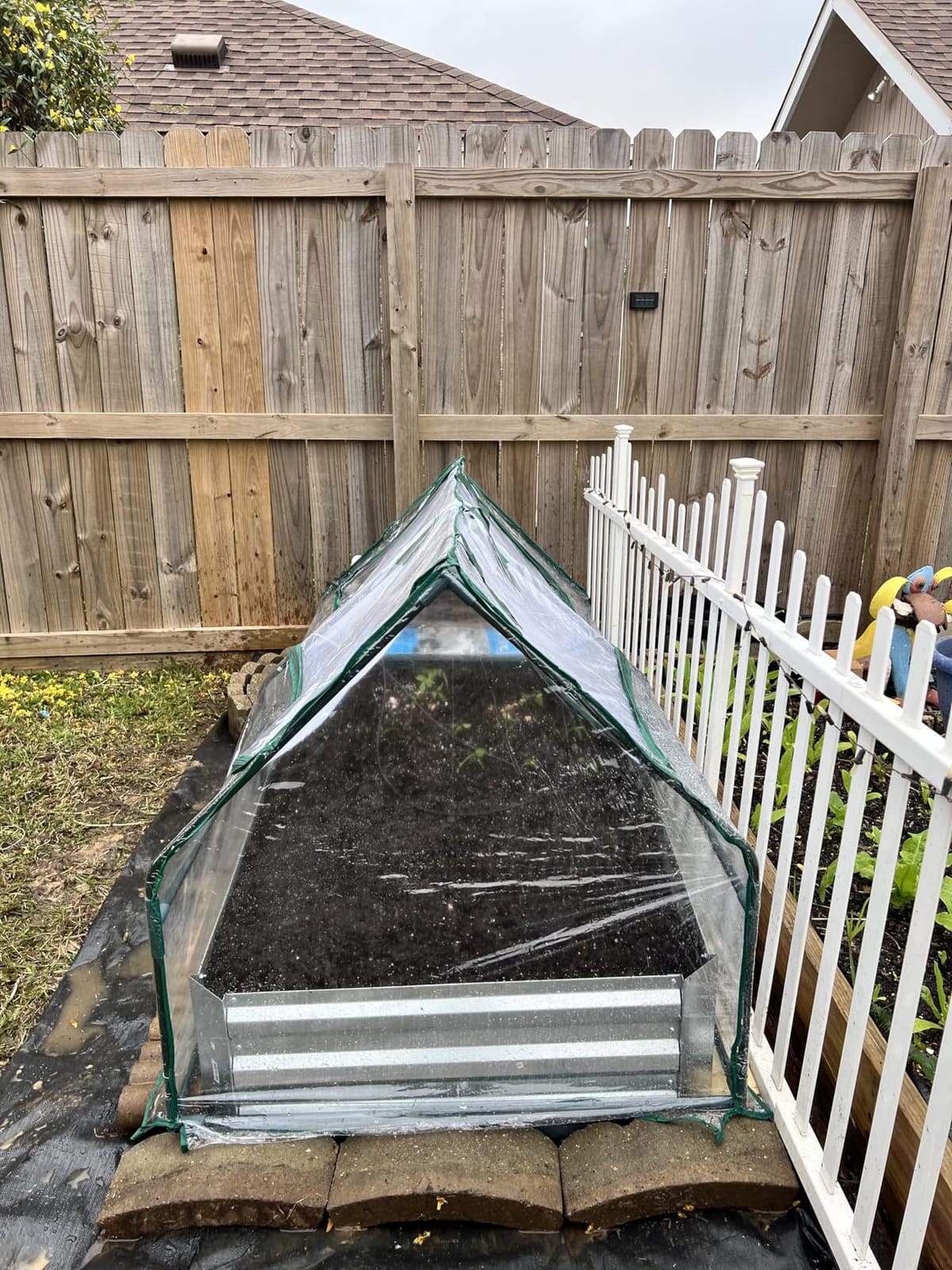 S AFSTAR 3-in-1 Raised Garden Bed with Greenhouse Cover, 6FT x 3FT x 4FT Galvanized Bottomless Planter Box Kit with Dual Roll-Up Screen Windows, Outdoor Mini Greenhouse for Vegetables (Black & Clear) customer photo 2