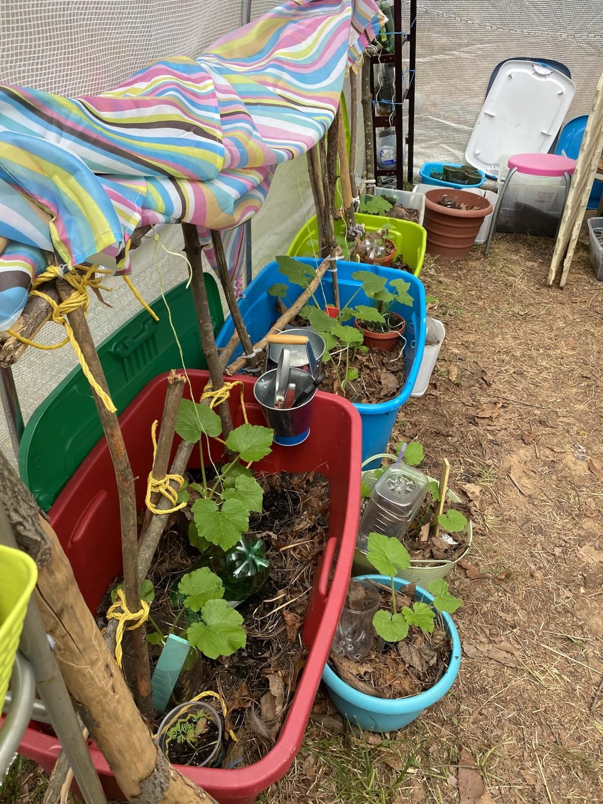 VEVOR Walk-in Greenhouse, 54