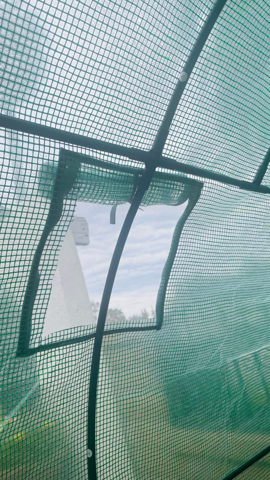 VEVOR Walk-in Greenhouse, 54