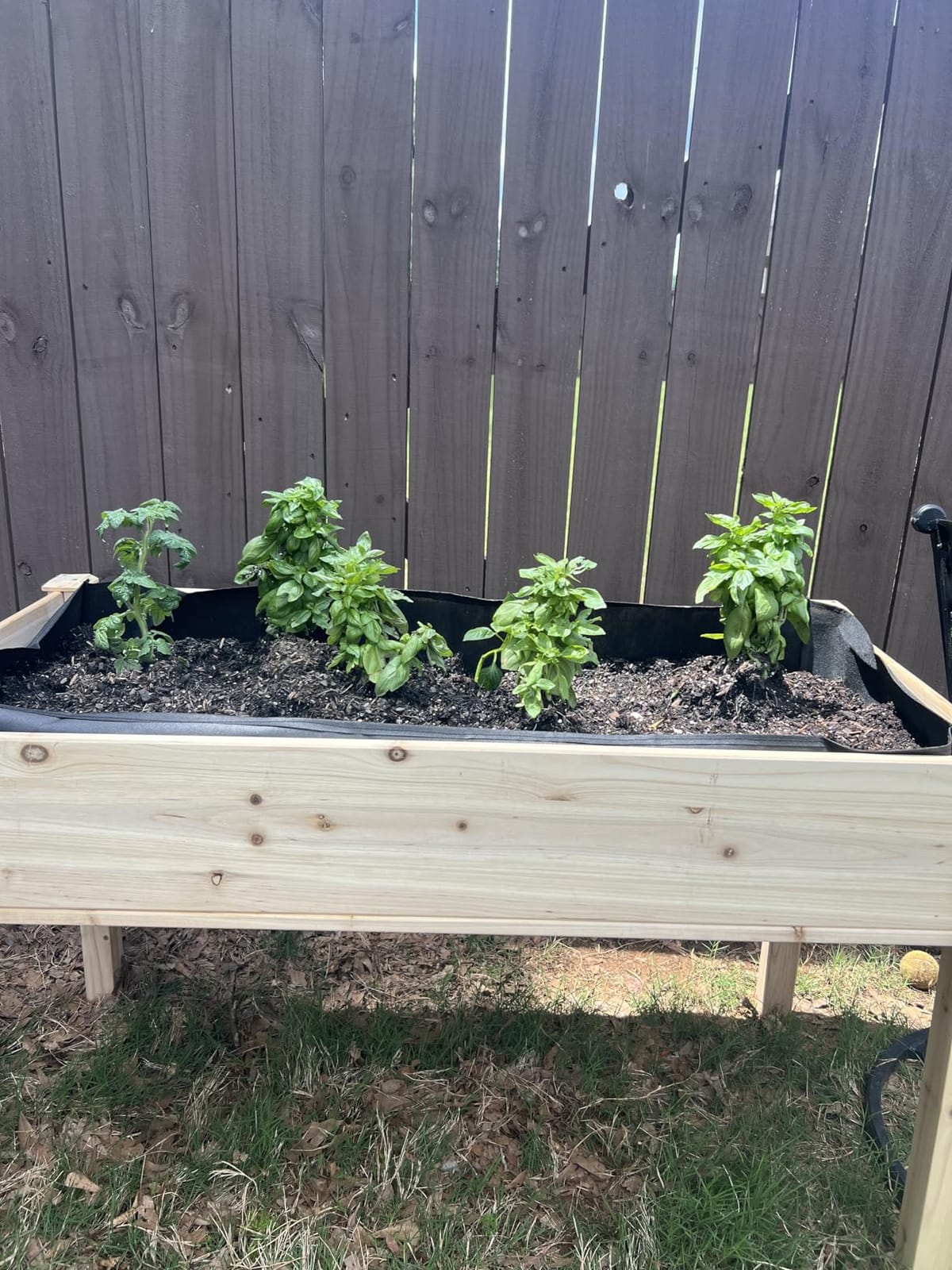 DUMOS 34x18x30 Inch Raised Garden Bed, Elevated Wood Planter Box with Legs customer photo 1