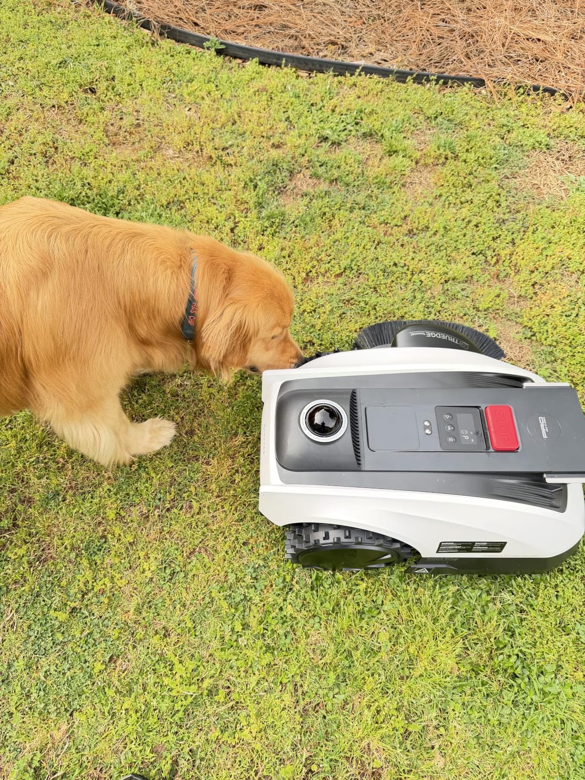 ECOVACS Goat O1000 LiDAR PRO Robot Lawn Mower, Wire-Free Robotic Lawn Mower with Dual-LiDAR Navigation, Built-in Edge Trimming, AI Obstacle Avoidance, App Control, for Lawns Up to 1/4 Acre customer photo 2