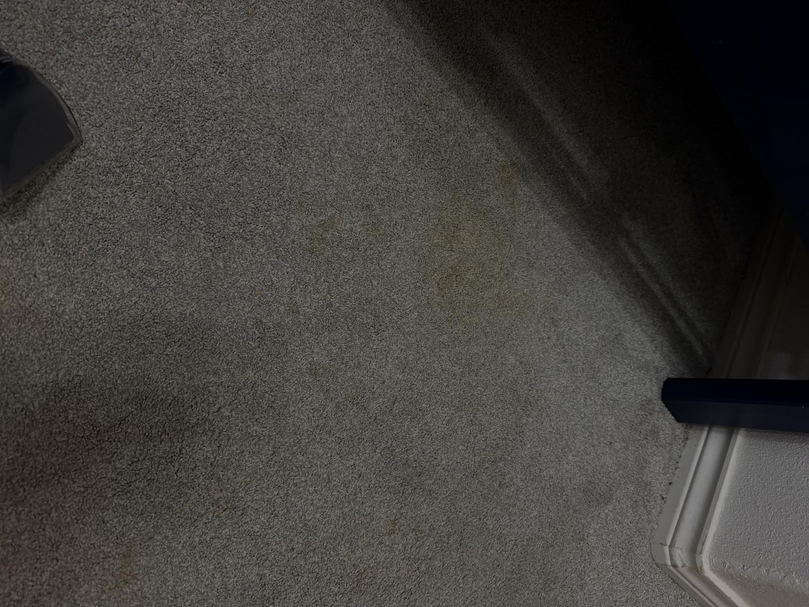 Vacmaster 30 Series Mini Portable Carpet & Upholstery Spot Cleaner Machine customer photo 1
