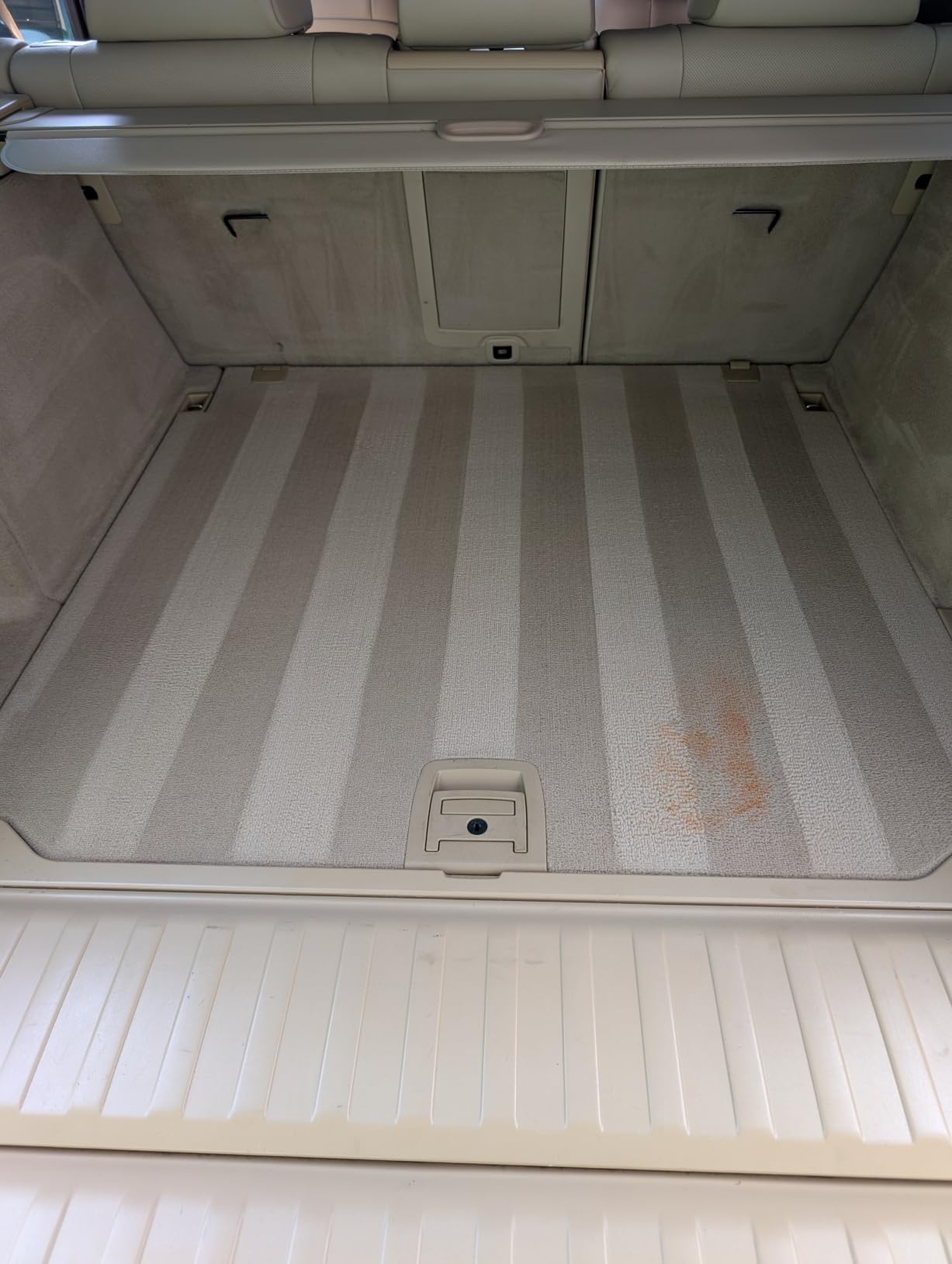 Vacmaster 30 Series Mini Portable Carpet & Upholstery Spot Cleaner Machine customer photo 2