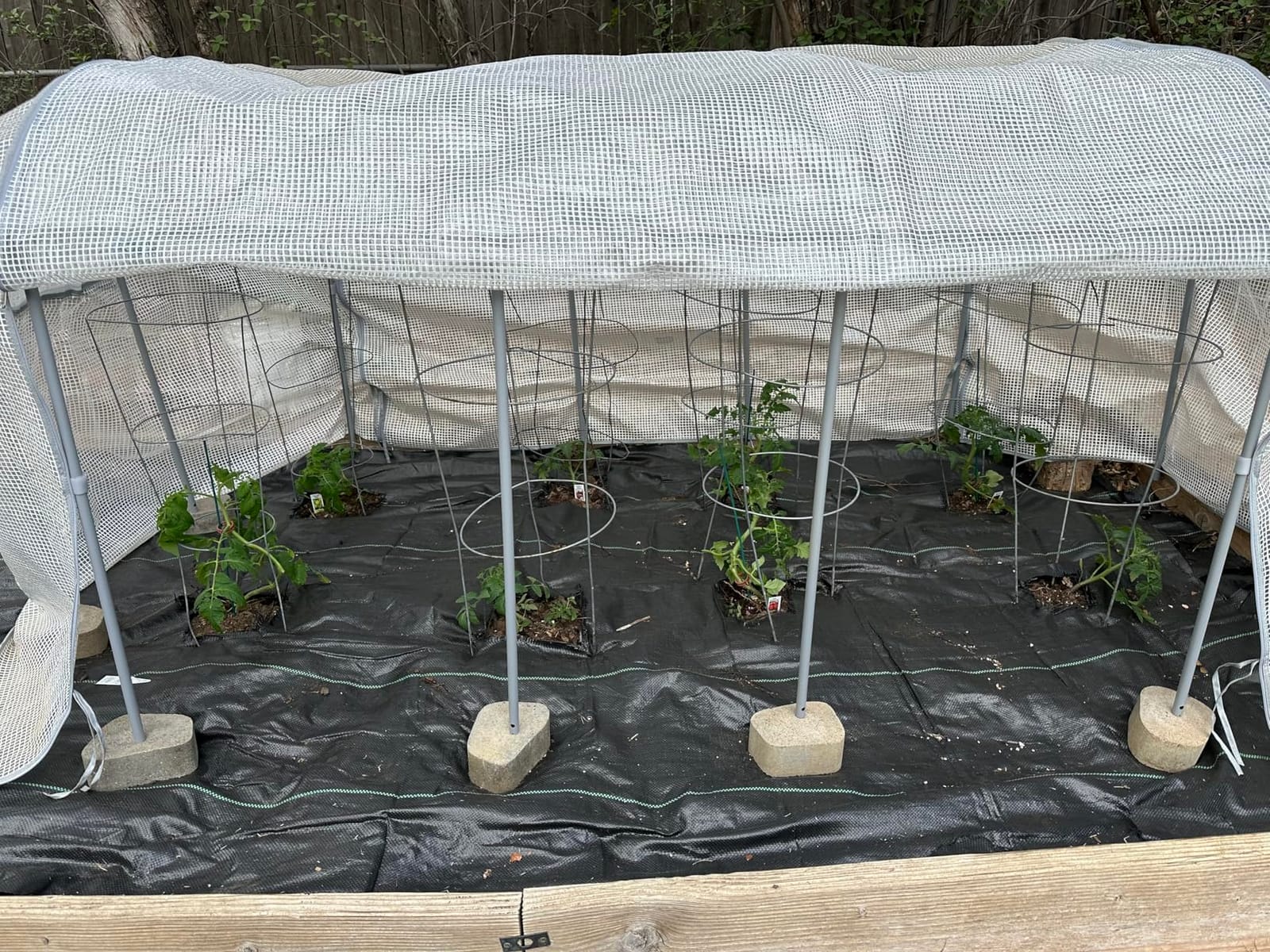 Vego garden Frost Cover System for 2.0' x 3.5' Kids Garden Bed customer photo 2