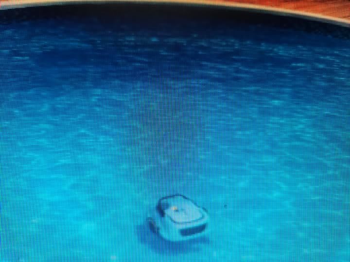 WINNY POOL CLEANER-A1 Cordless Robotic Above Ground Pool Vacuum(Black) customer photo 1