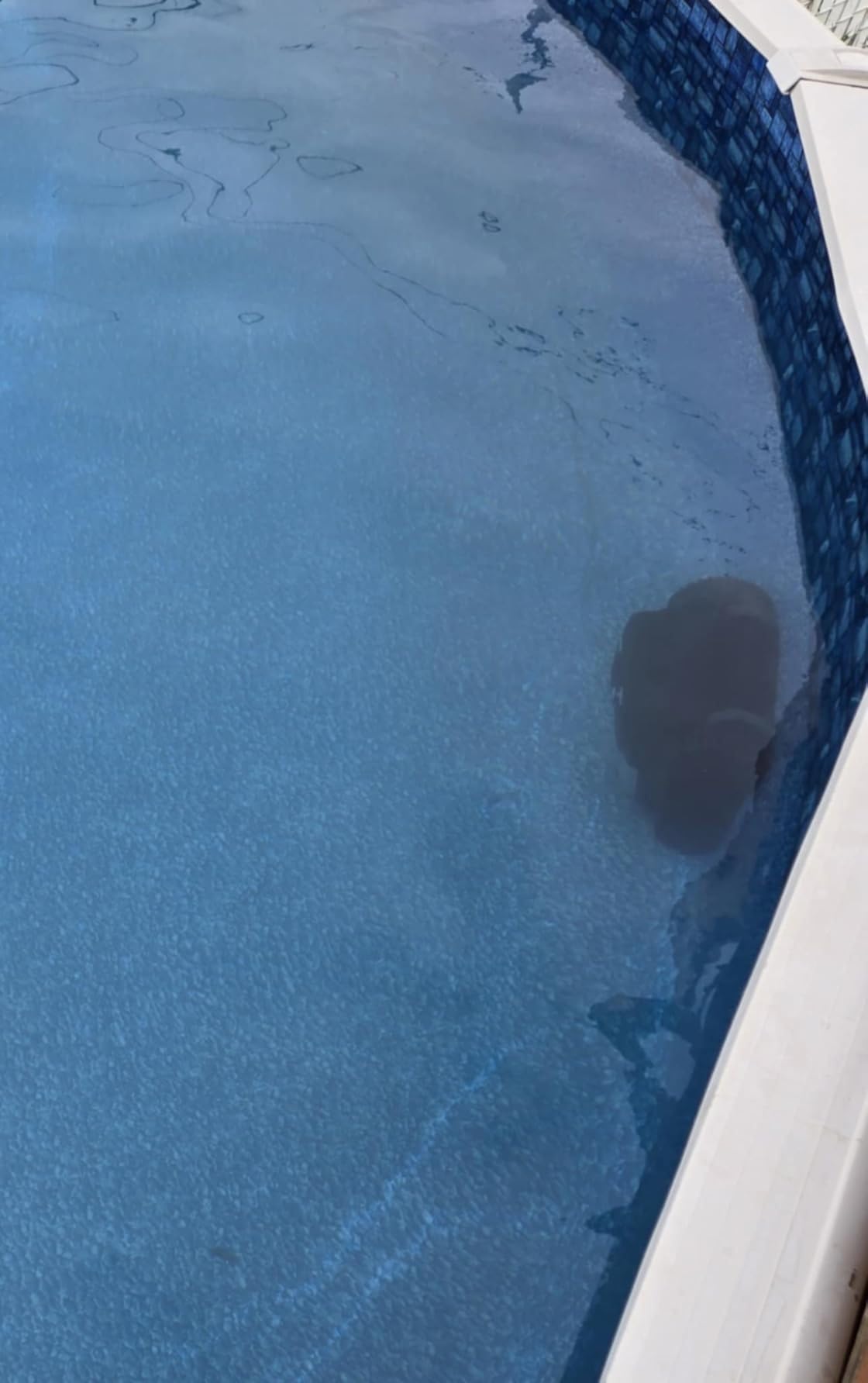 X5 Robotic Pool Vacuum for Inground Pools,Cordless Vacuum Cleaner customer photo 2